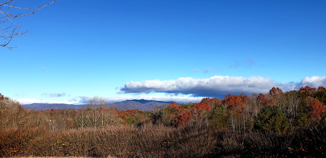 Panorama photo spot Blue Ridge Mountains United States