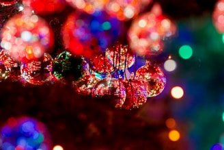 Celebrating the Christmas Season in Dubai with Zameel Cars