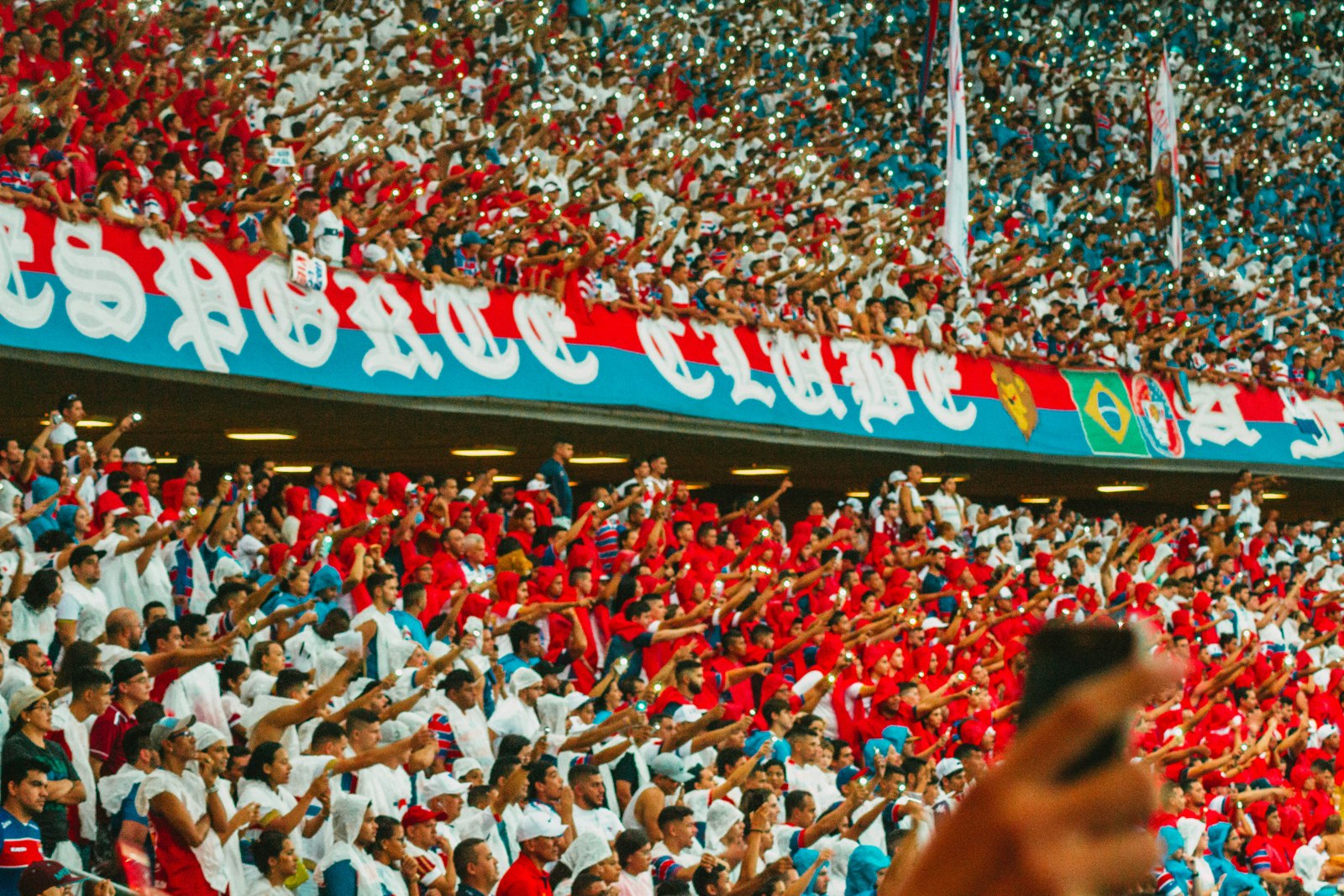 Nikon D3100 + Tamron SP 70-300mm F4-5.6 Di VC USD sample photo. People cheering inside stadium photography