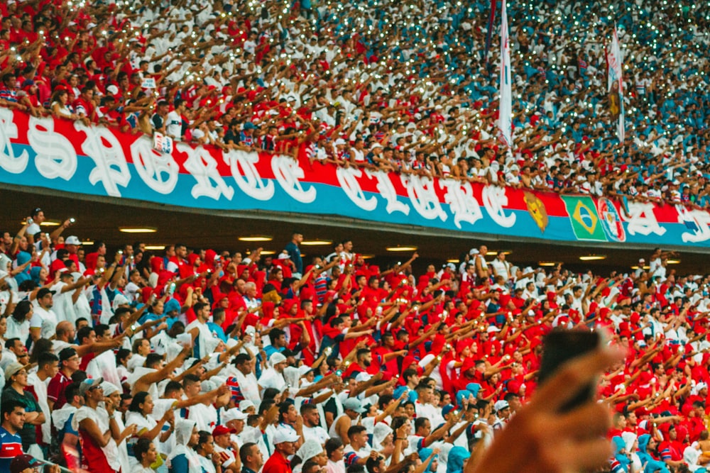 people cheering inside stadium