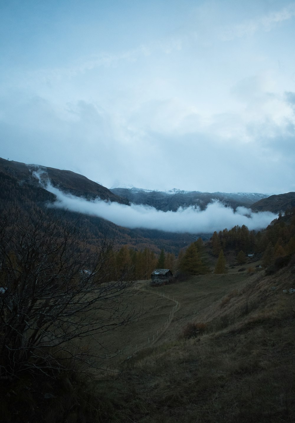 brown mountain during daytime