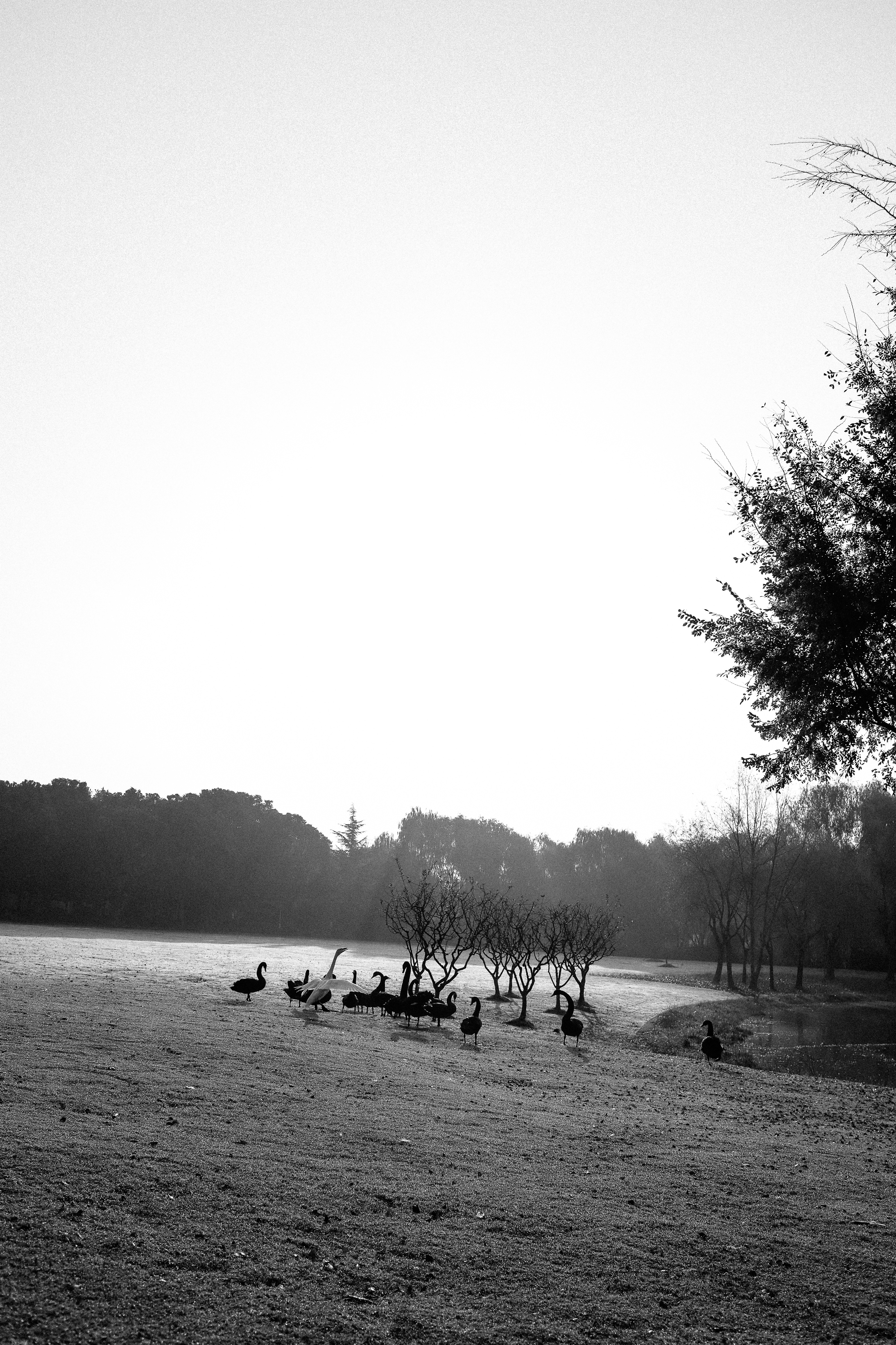 Photo by kennyzhang29