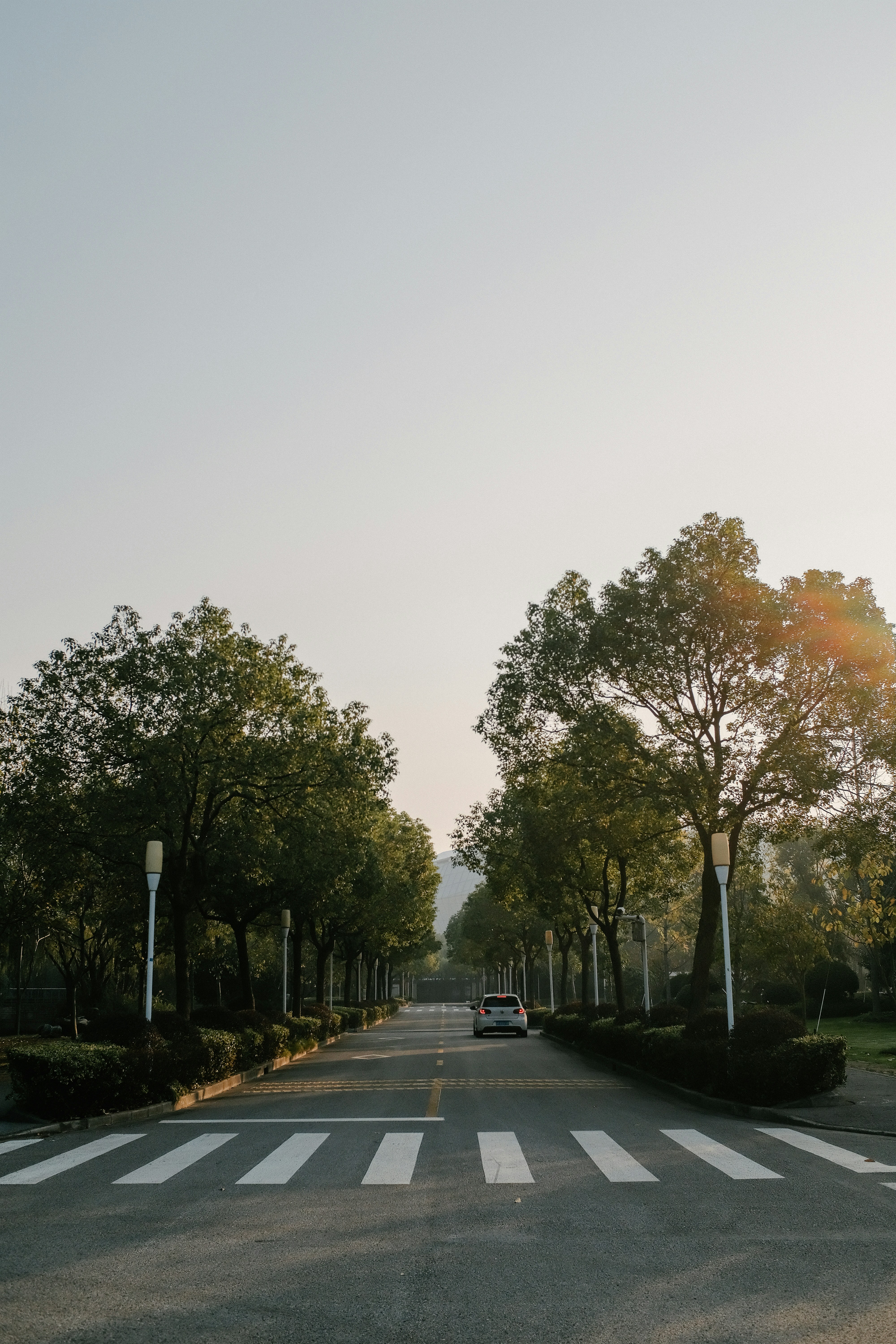 Photo by kennyzhang29