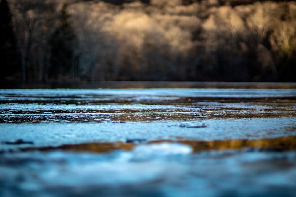 macro photography of body of water