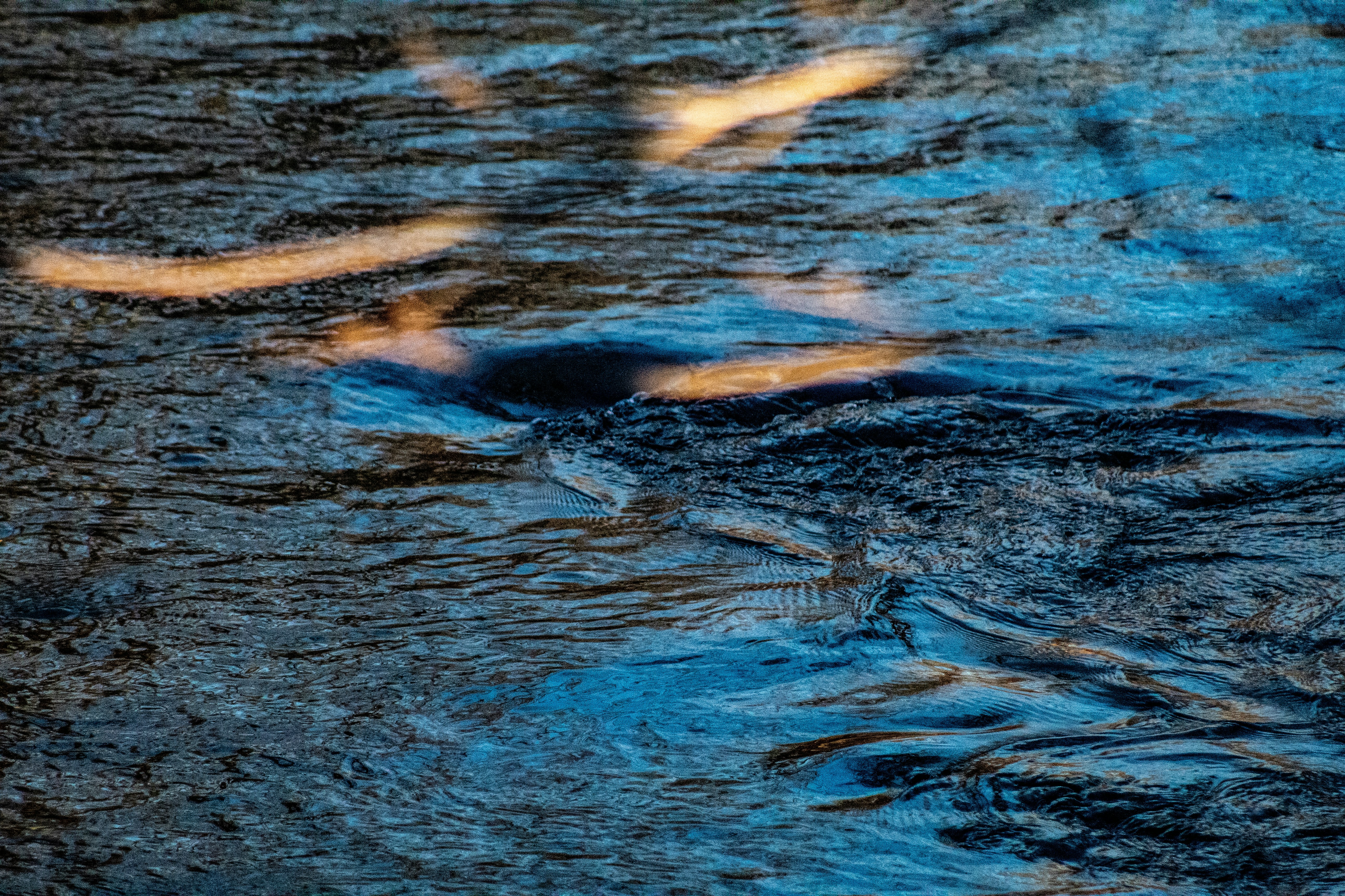 Photo by timschwinge