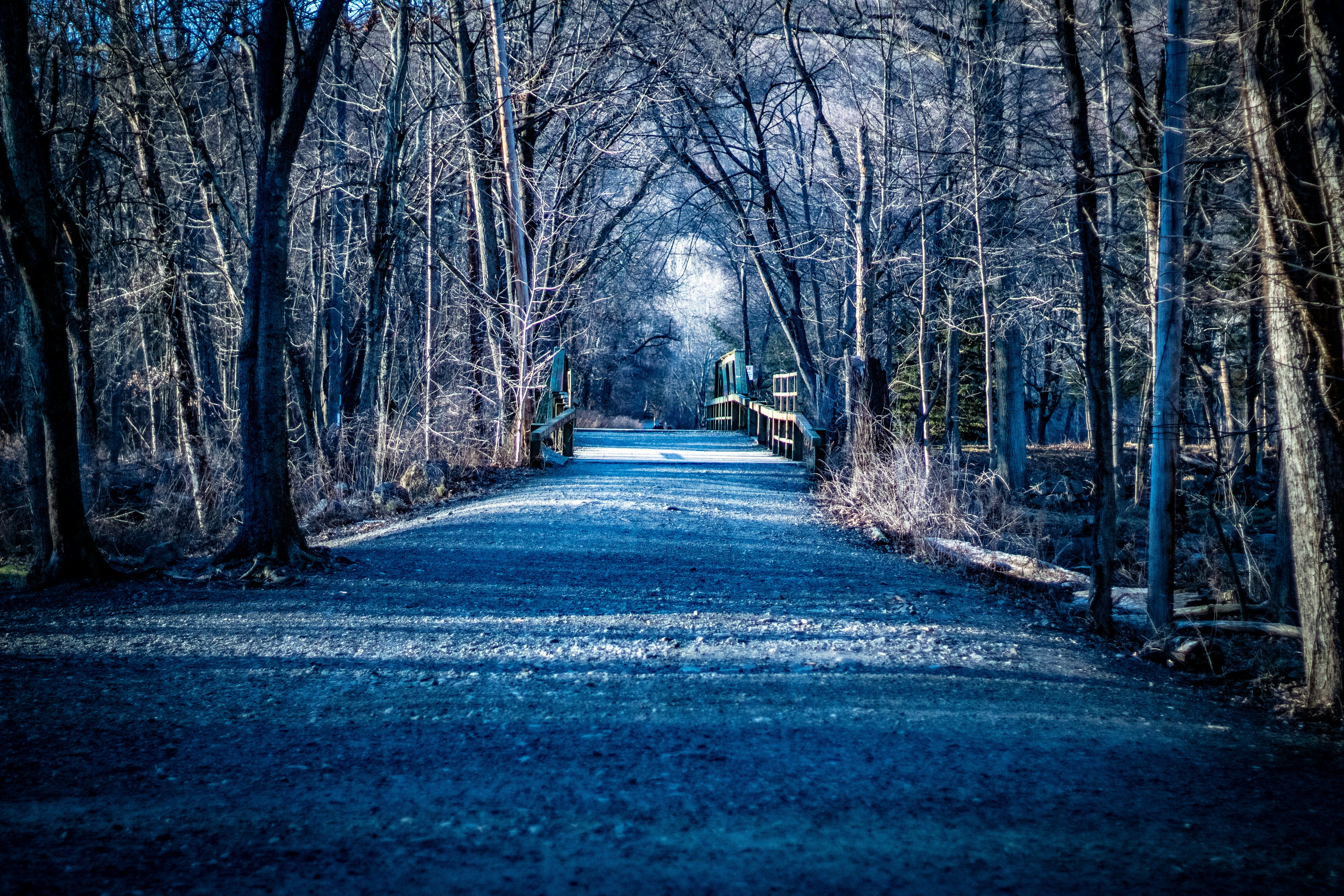 Photo by timschwinge