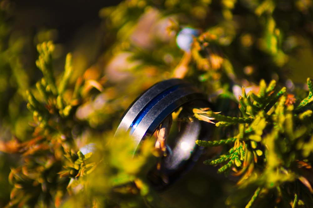 blue and silver-colored ring