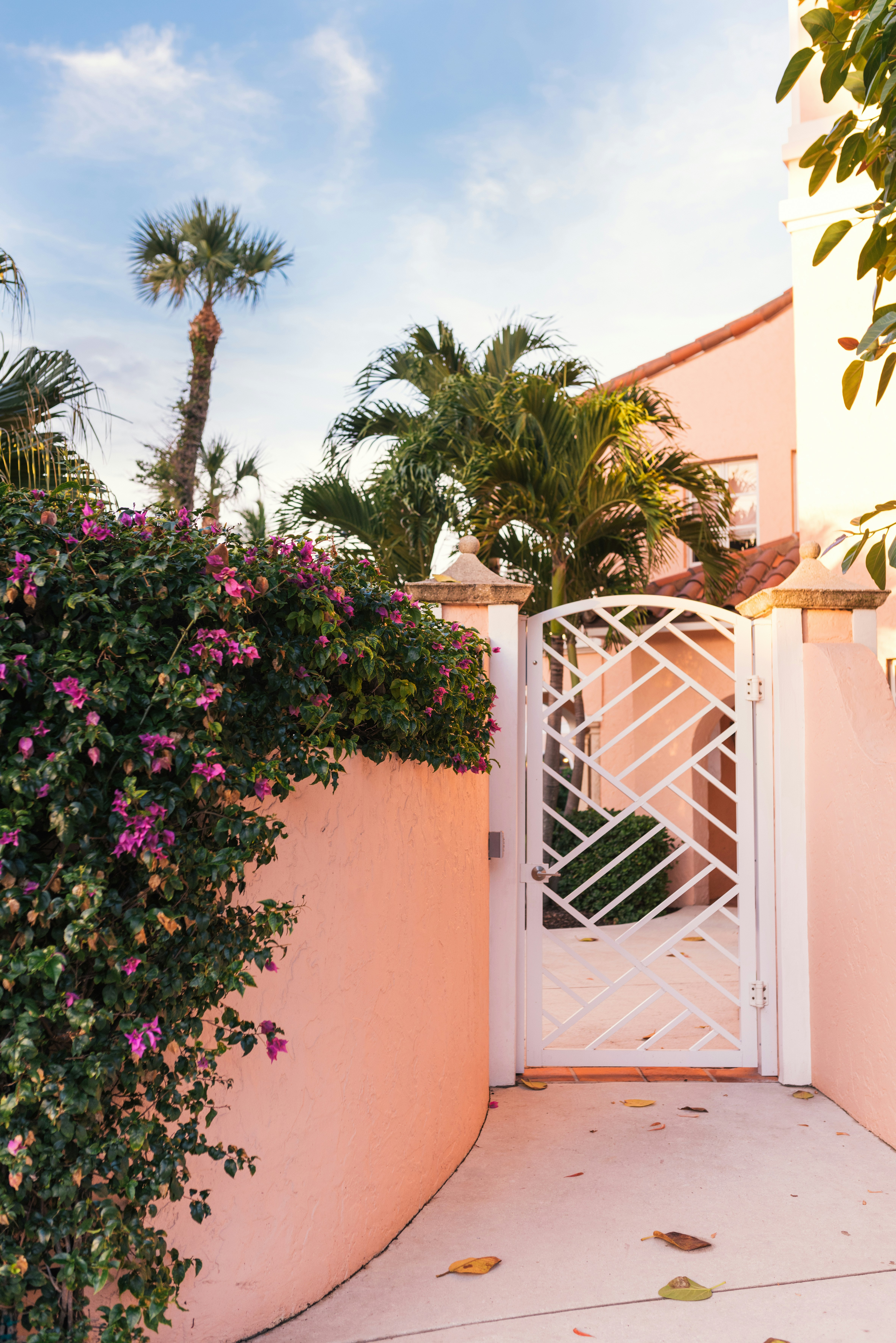 Photo by arnelhasanovic