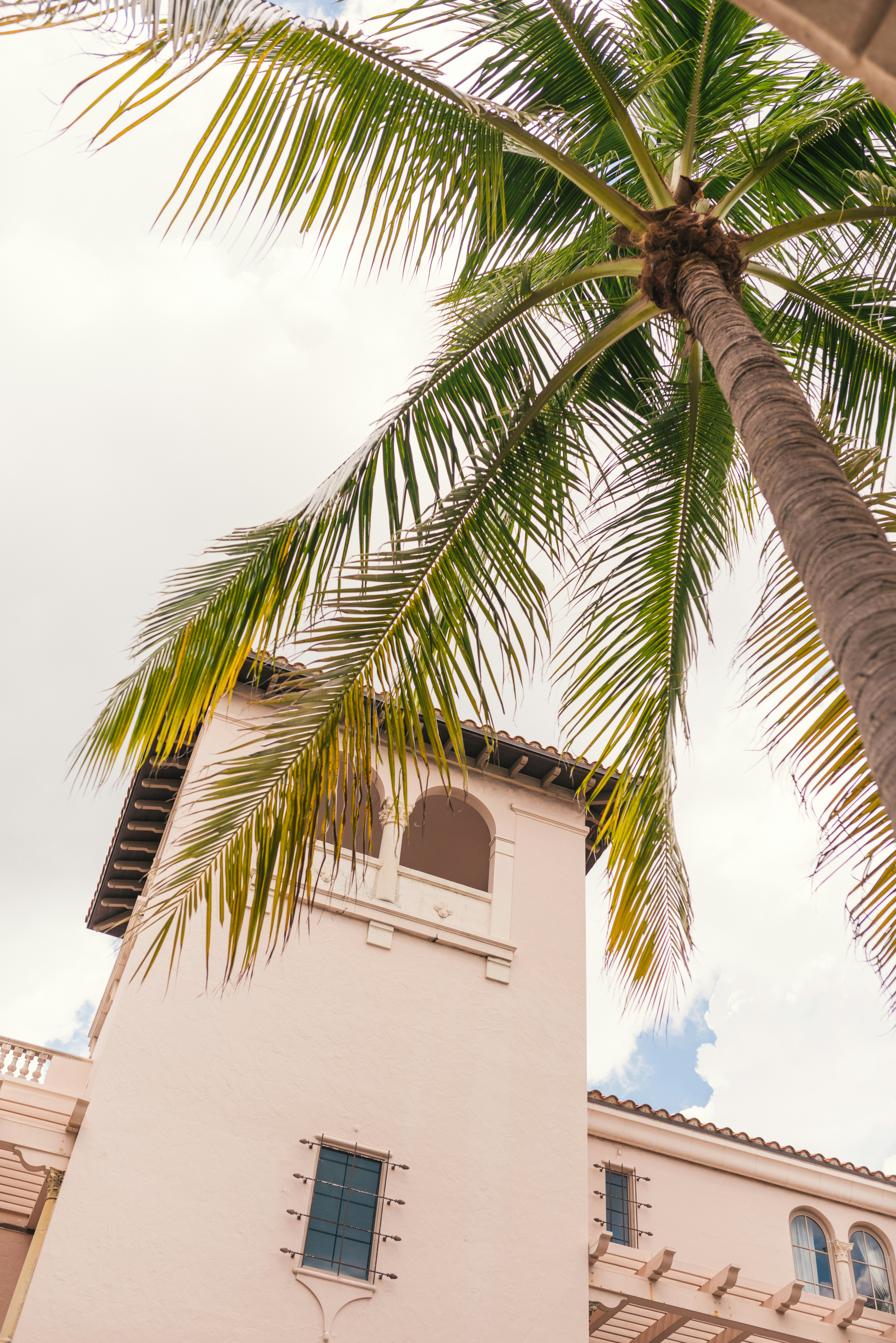 Photo by arnelhasanovic