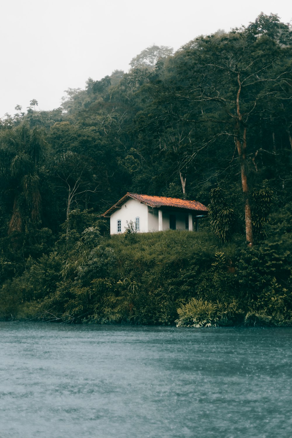 white concrete house photograph