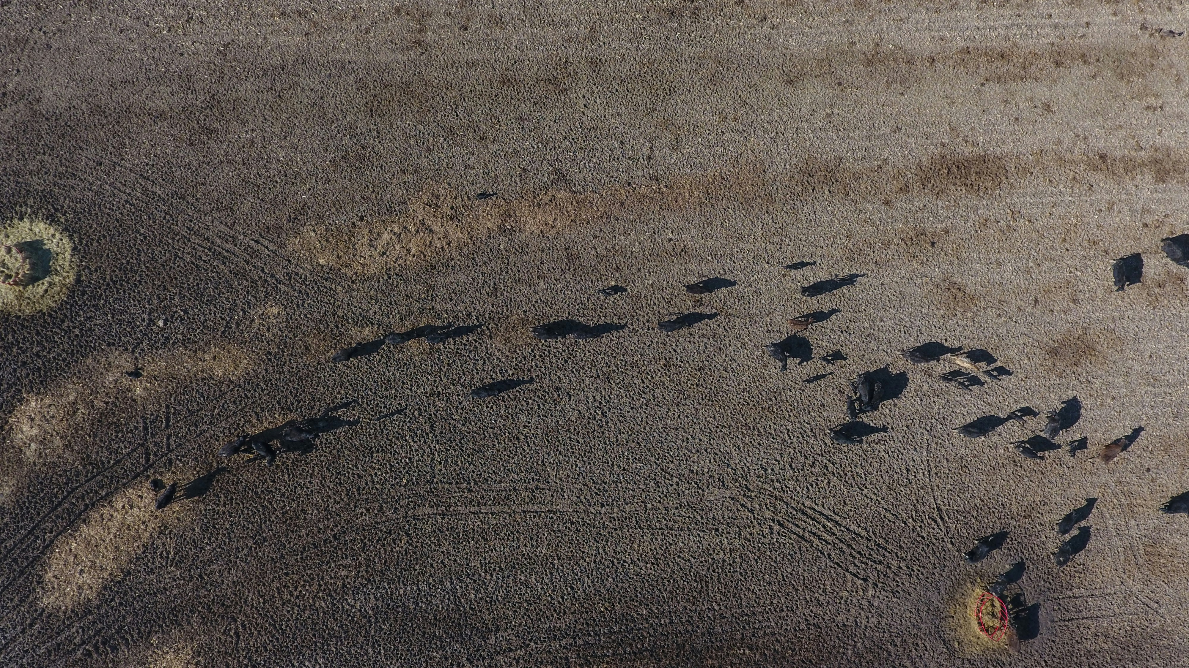 grey concrete surface