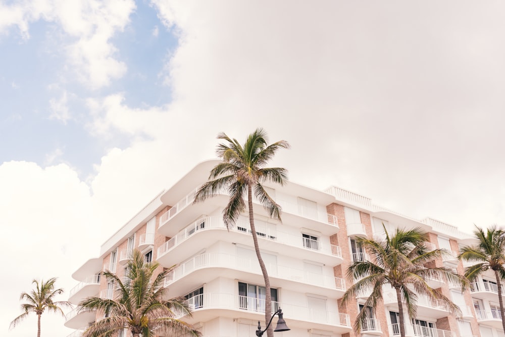 white concrete building photograph