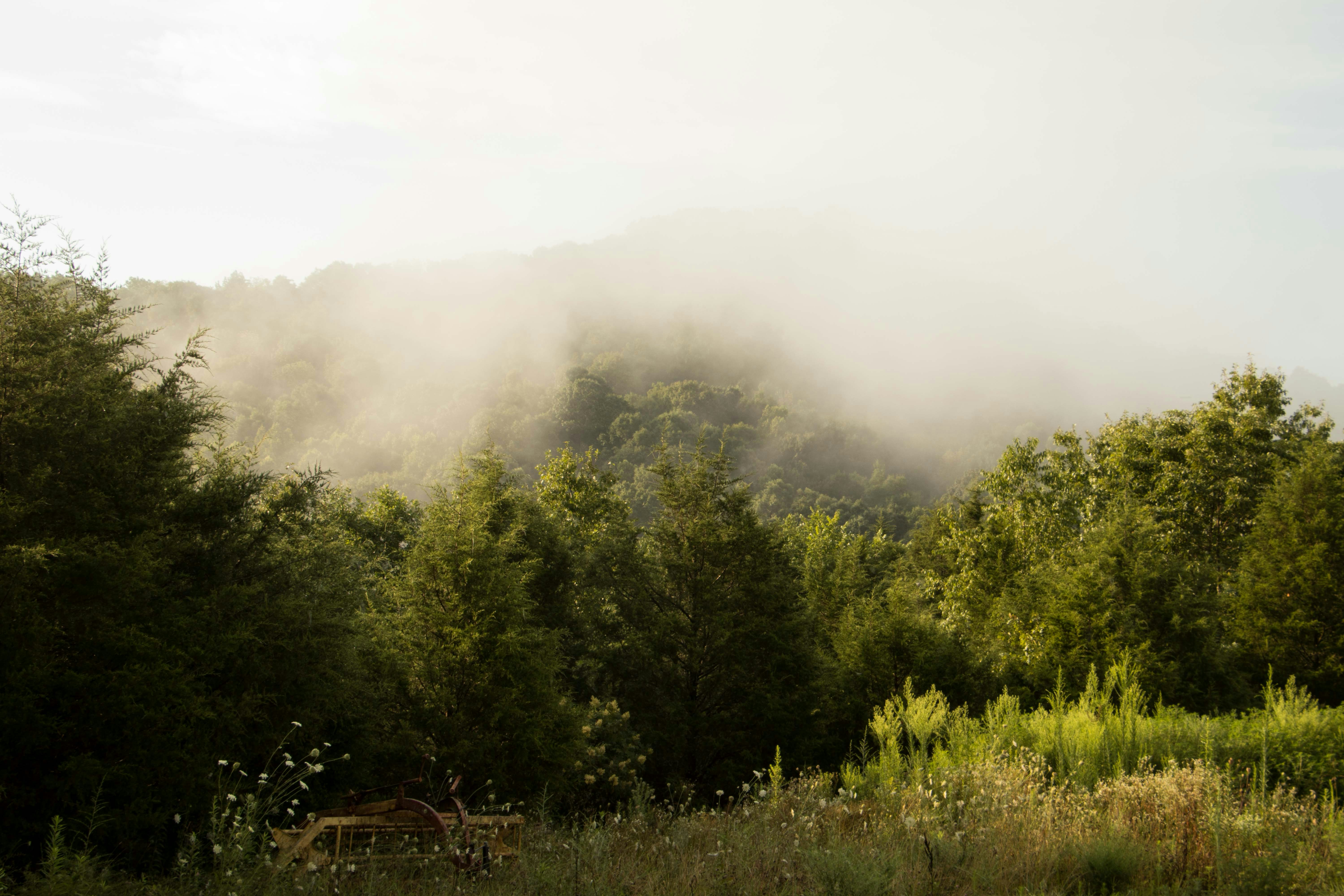 Photo by matthewelancaster