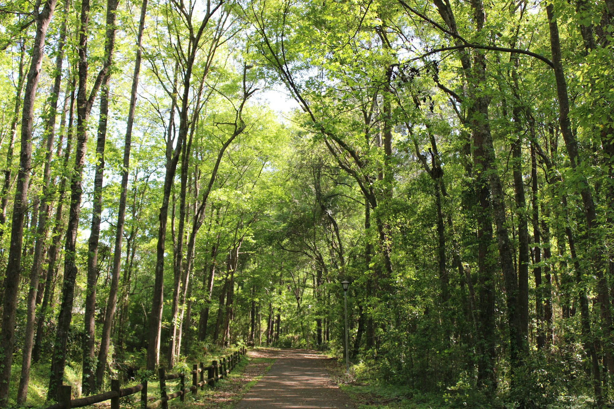 Nature trail