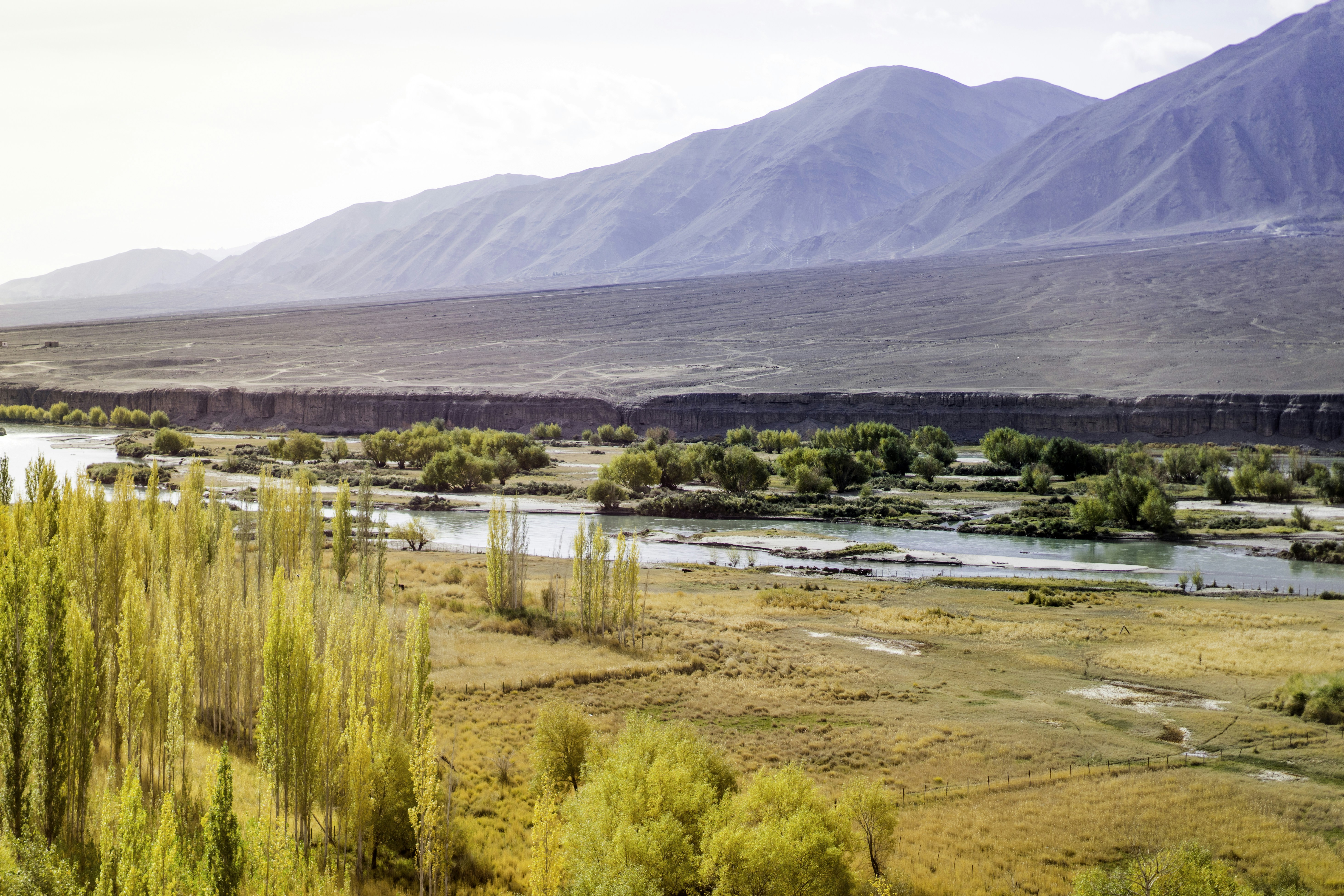 Photo by tthien12894