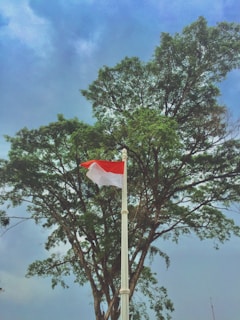 red and white flag