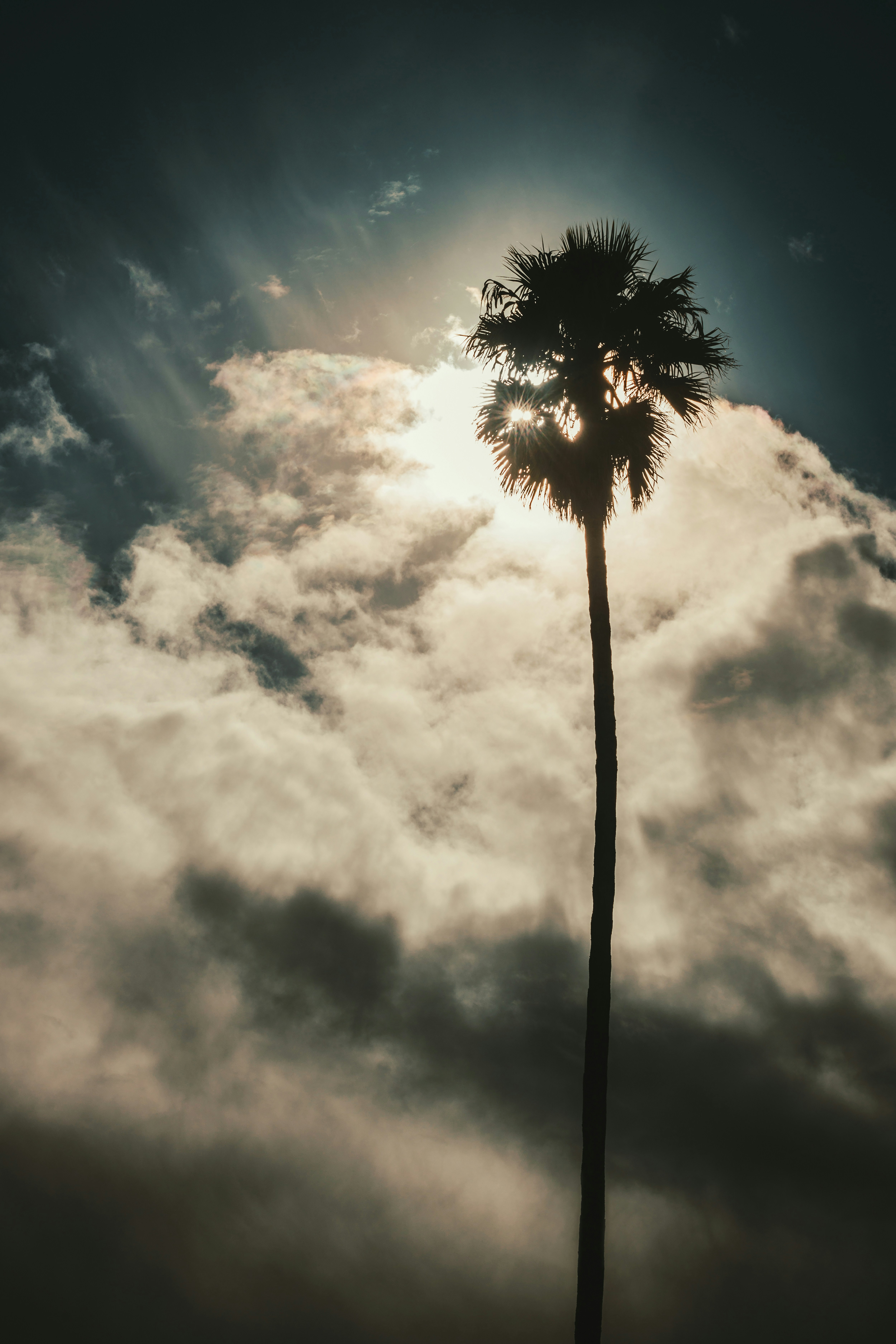 "Halo" Series Canceled After Second Season: Adaptation of the Popular Video Game Concludes on Paramount+