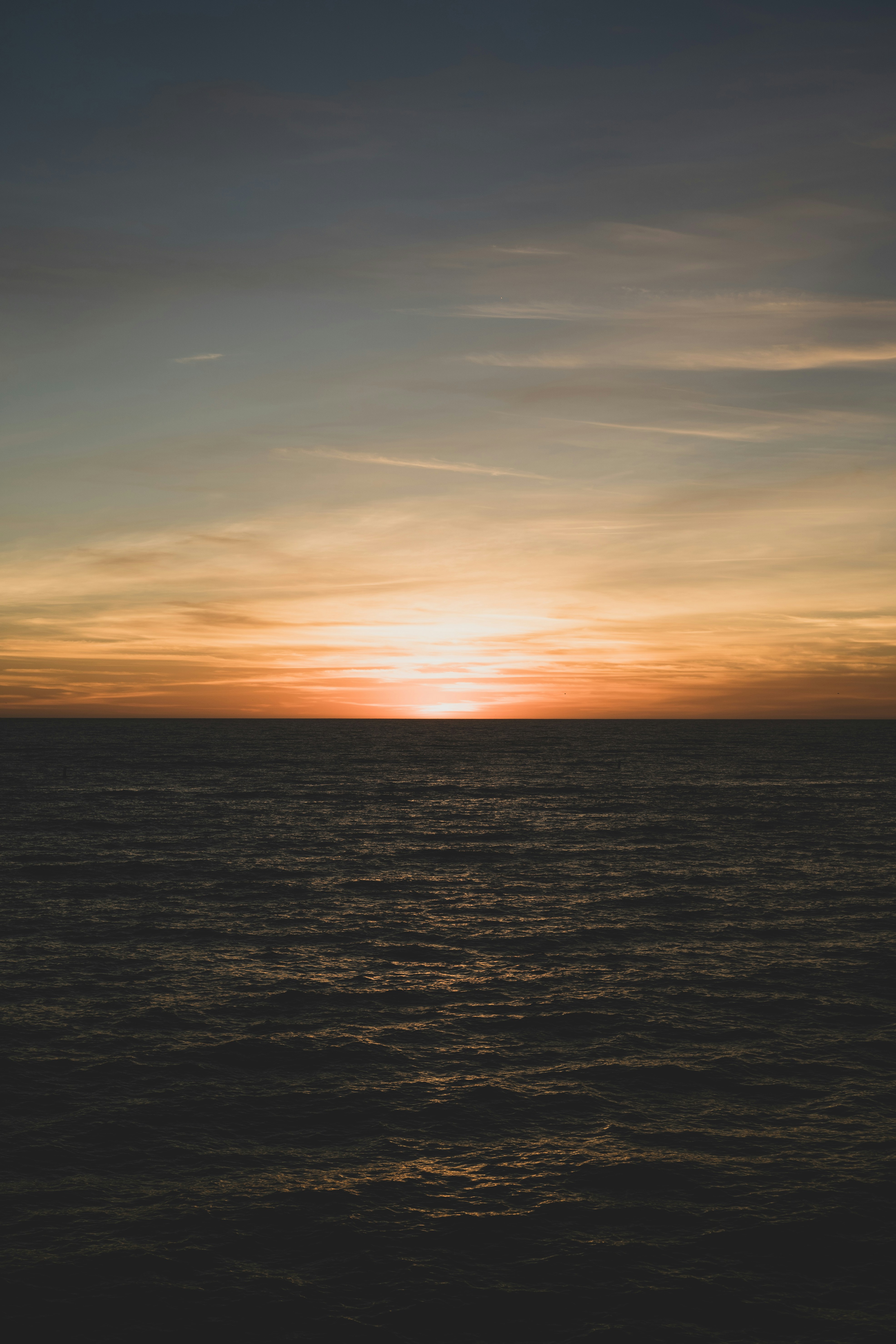 日没時のビーチの写真の写真 Unsplashで見つけるサンタモニカの無料写真