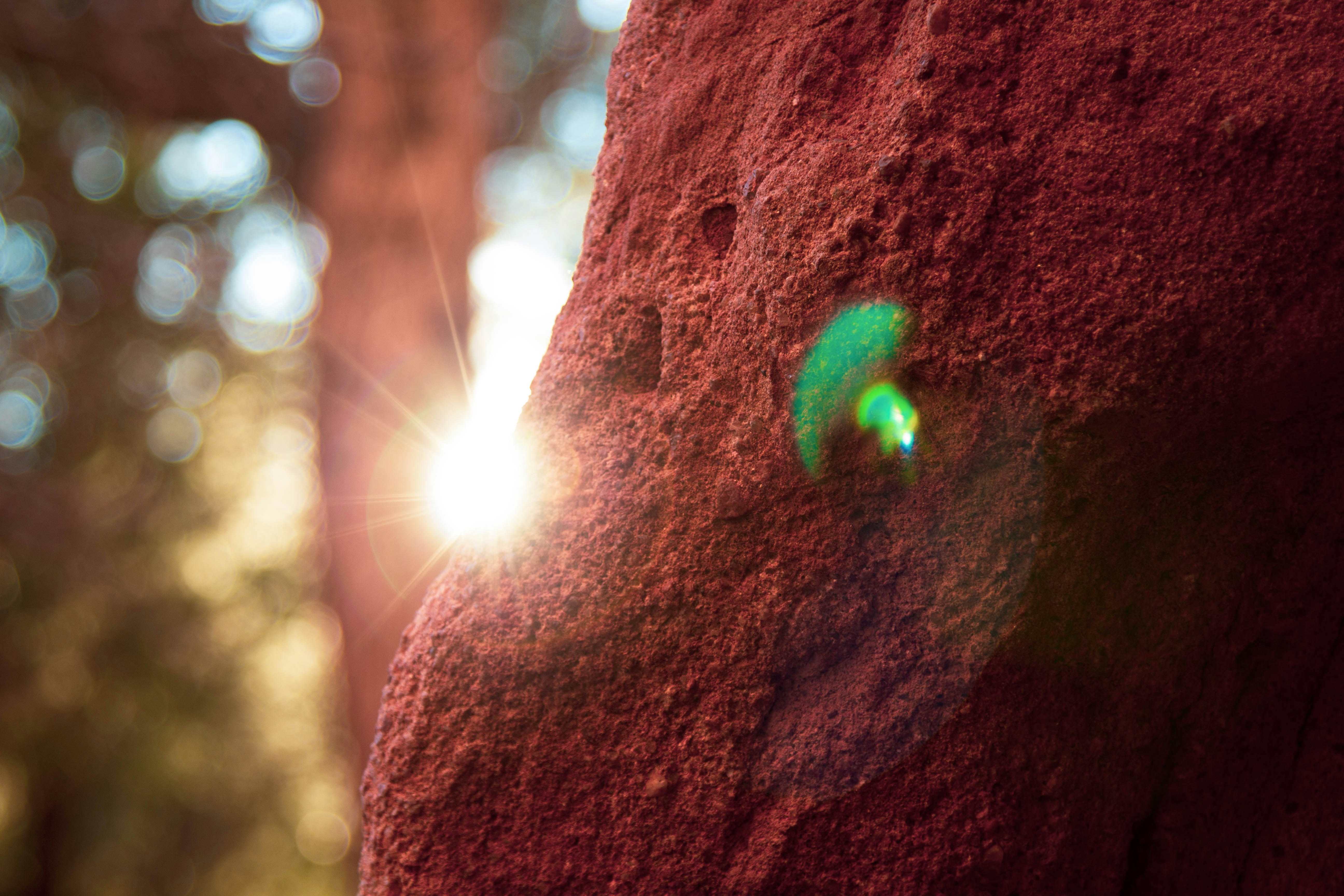 Photo by mason_hassoun