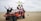 A group of eight people are posing on and around an orange dune buggy in a desert setting. Some are sitting and others are standing, with expressions of joy and excitement as they make peace signs and gestures. The landscape features expansive sand dunes under a cloudy sky.