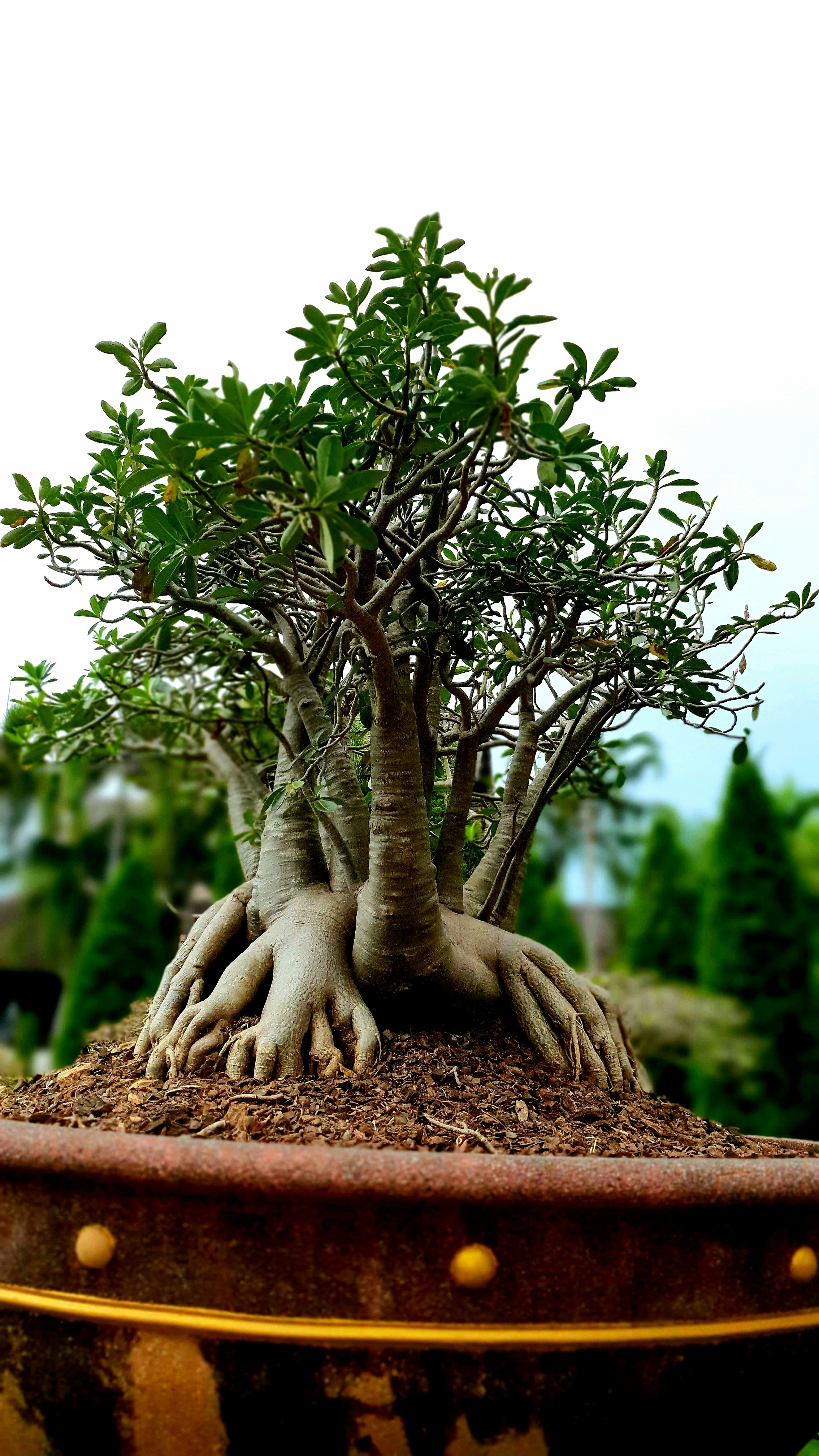 Photo by ketul__patel_2803