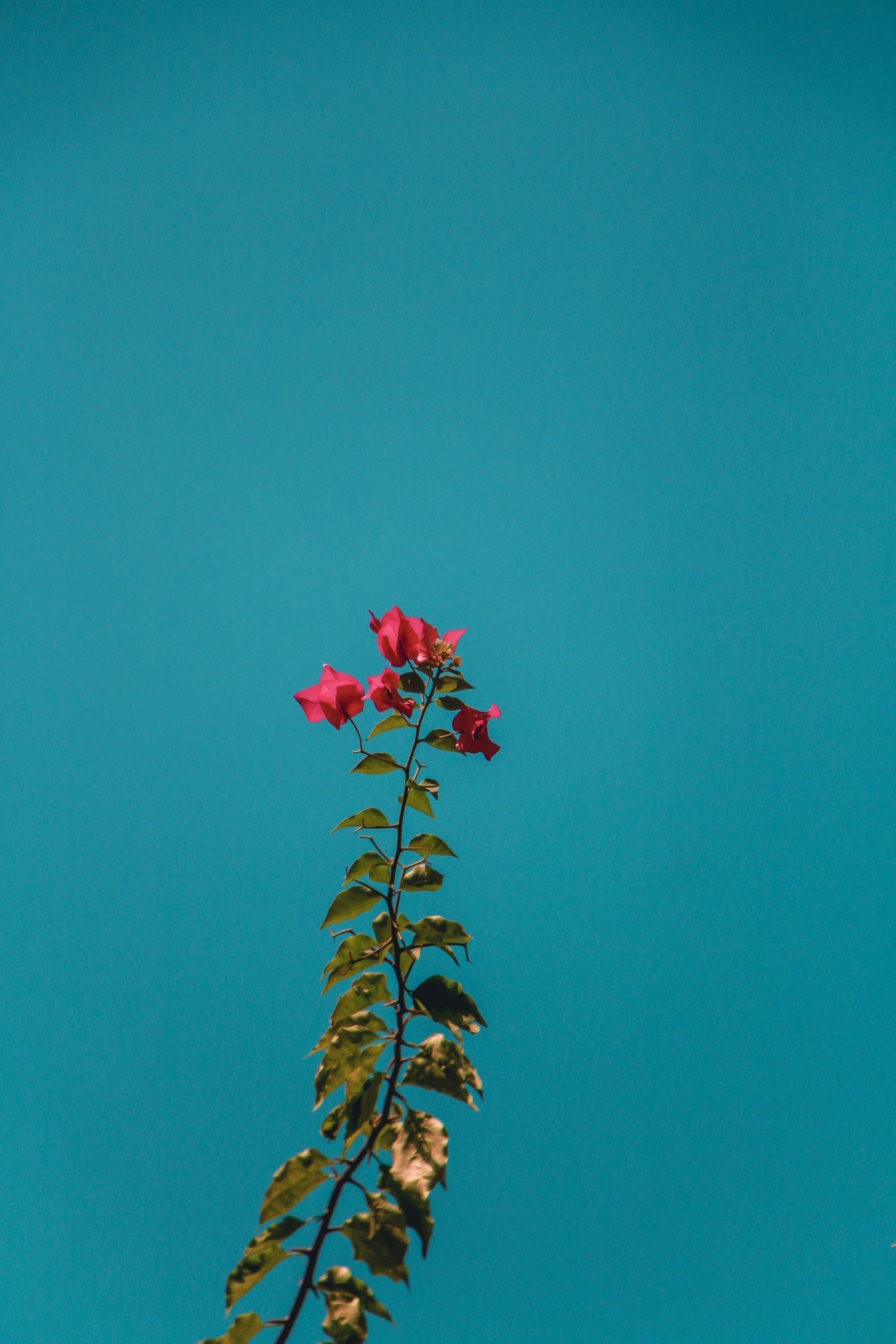 Photo by _pera_nai_chill