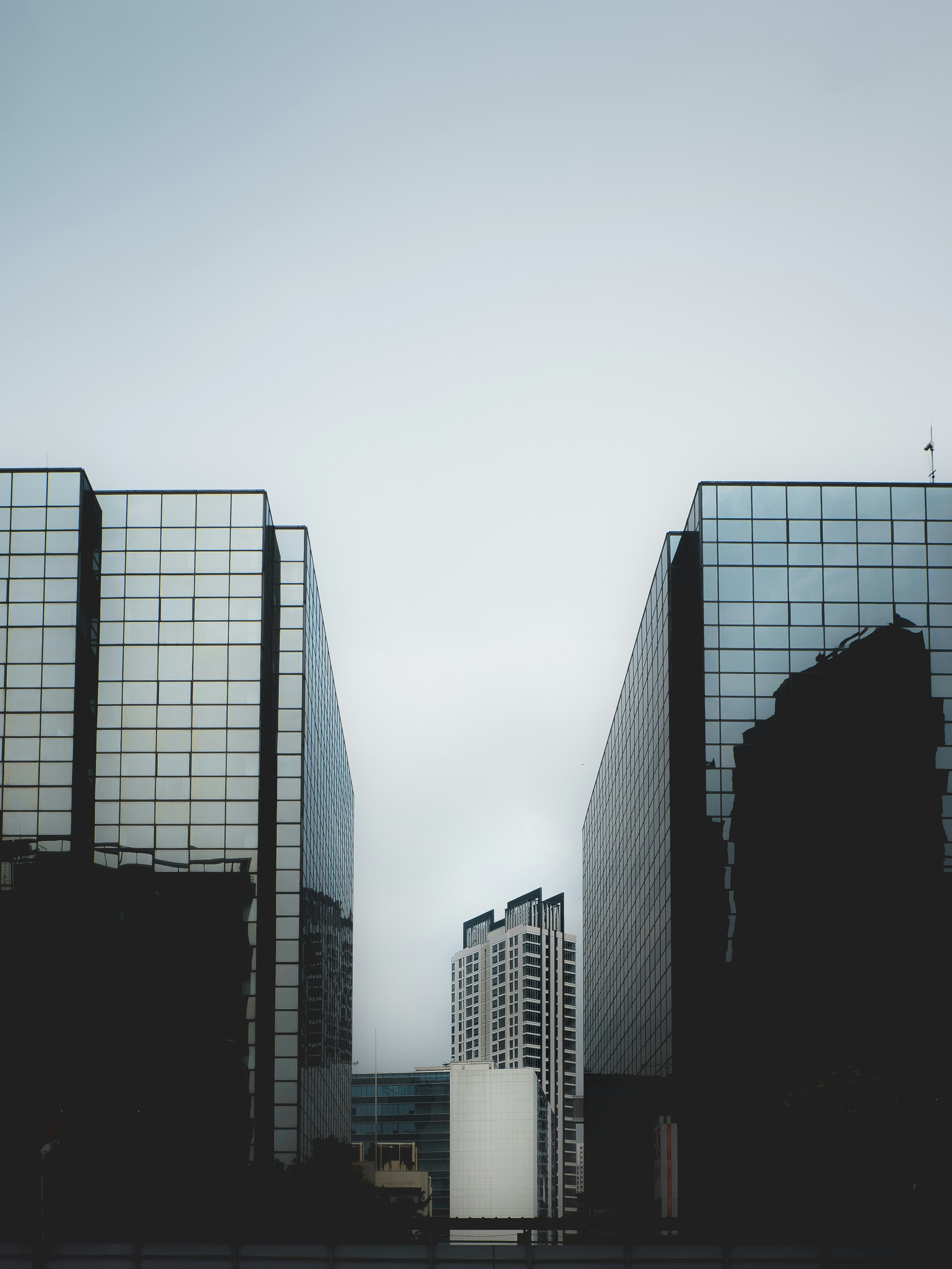 Photo by saidalamri63