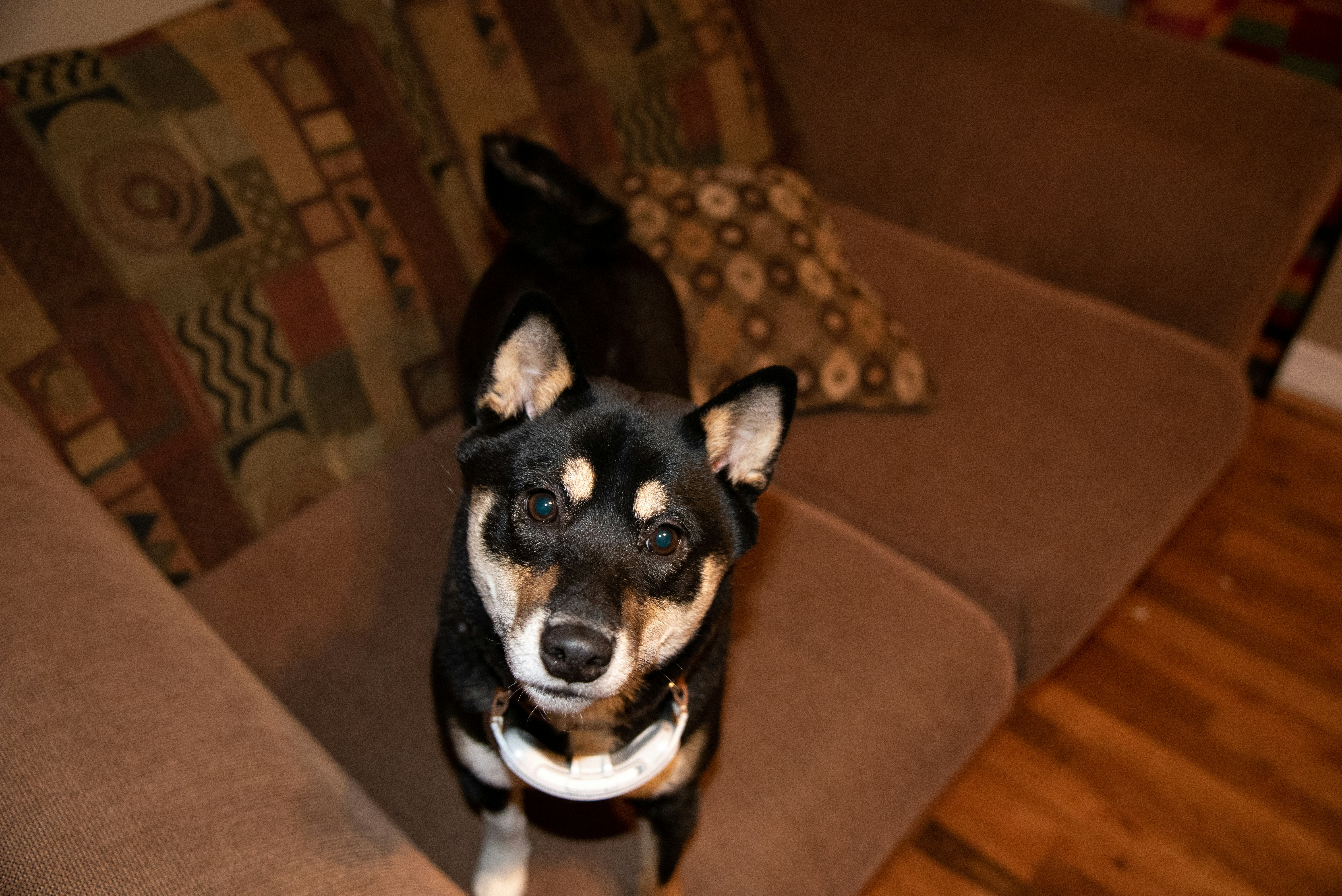 Photo by melroseadam