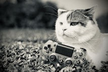 A black and white image featuring a cat with a mostly white fur coat and darker patches on the head, lying on grass. In front of the cat is a transparent video game controller, positioned among the grass and small flowers.