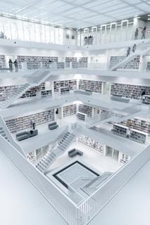 people inside library