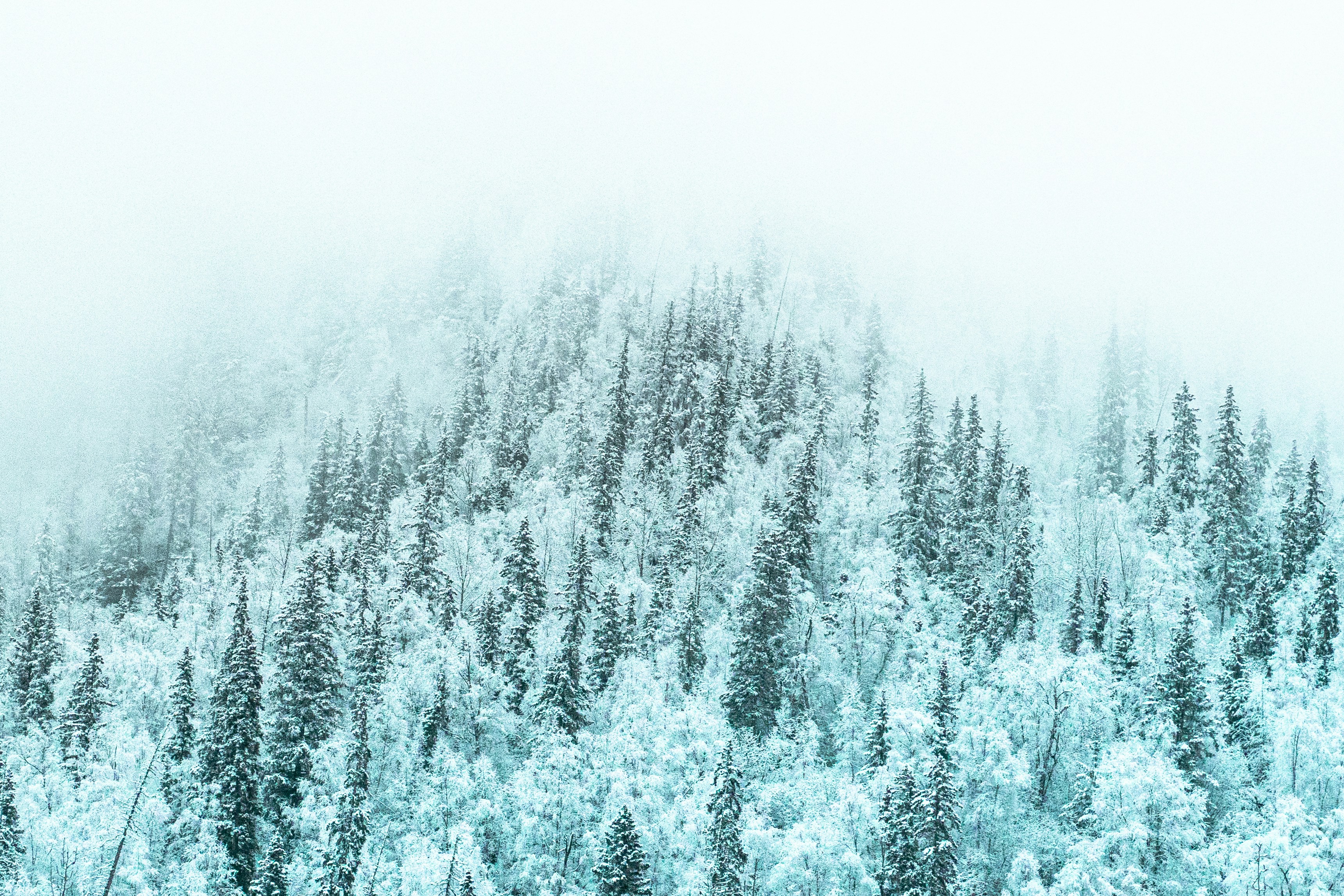 Photo by jaron_mobley