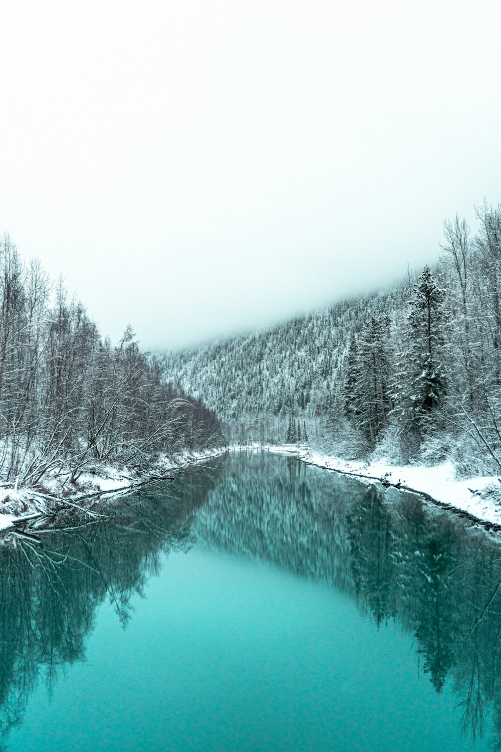 river in between snow-covered trees