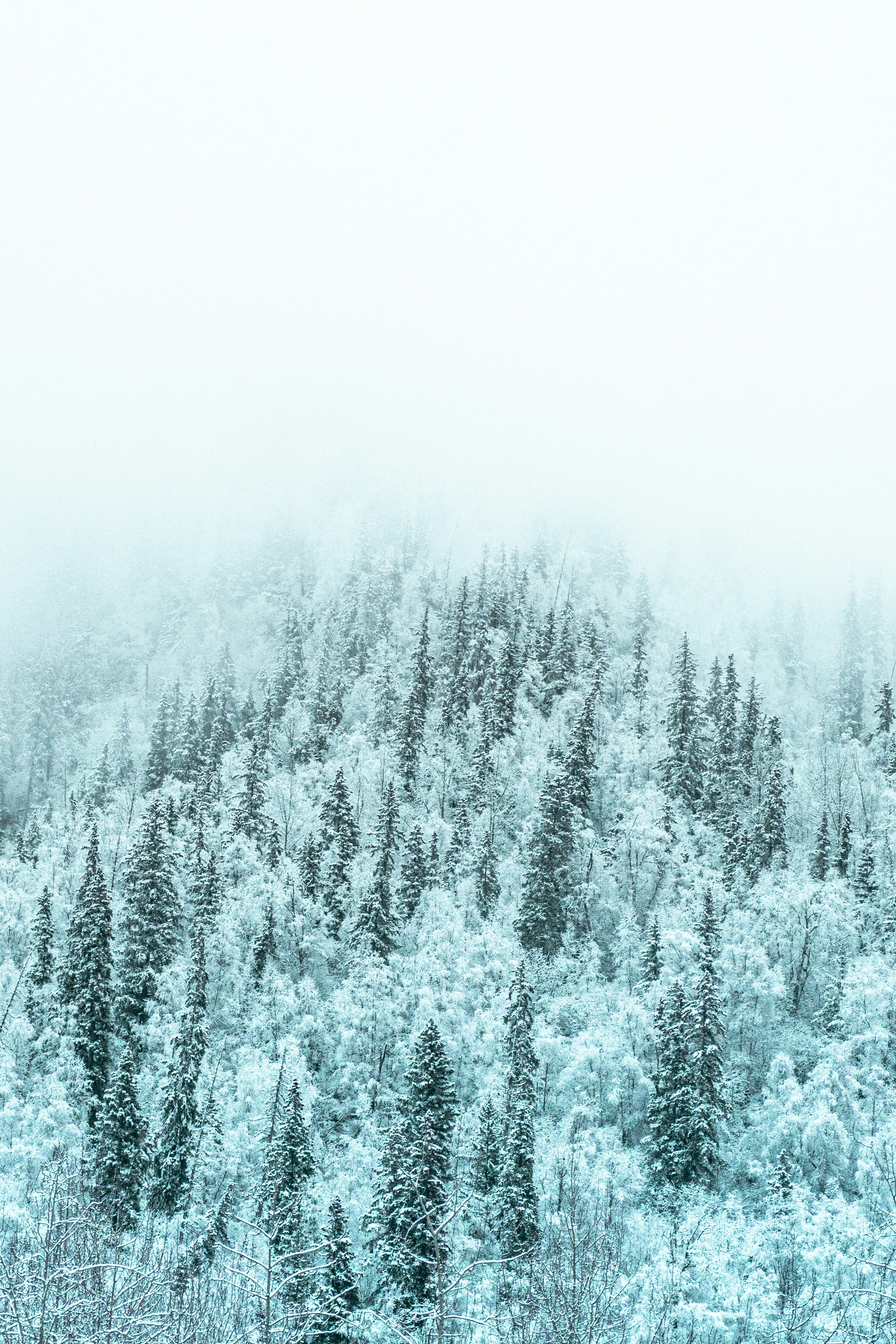 Photo by jaron_mobley