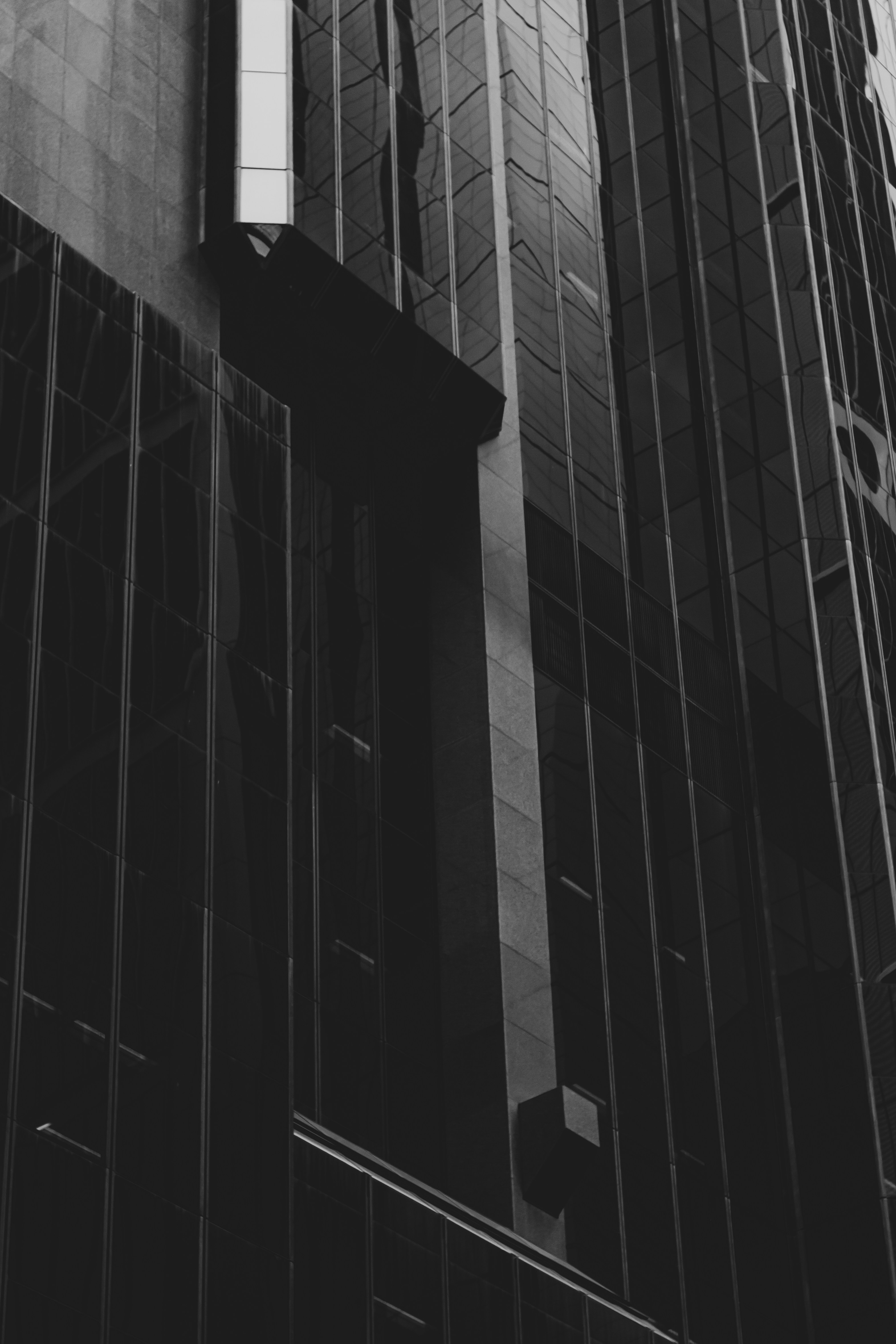 Photo by saxon_white