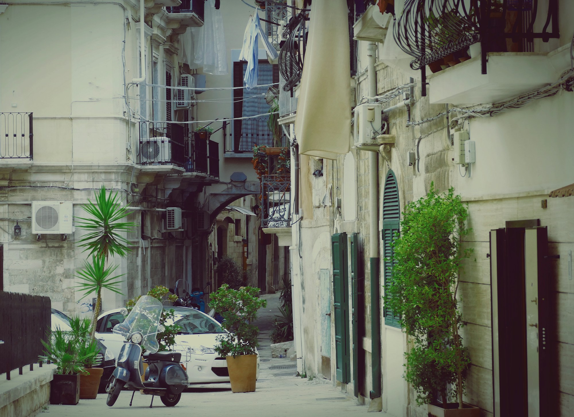 Discover Mola di Bari: Culture & Traditions