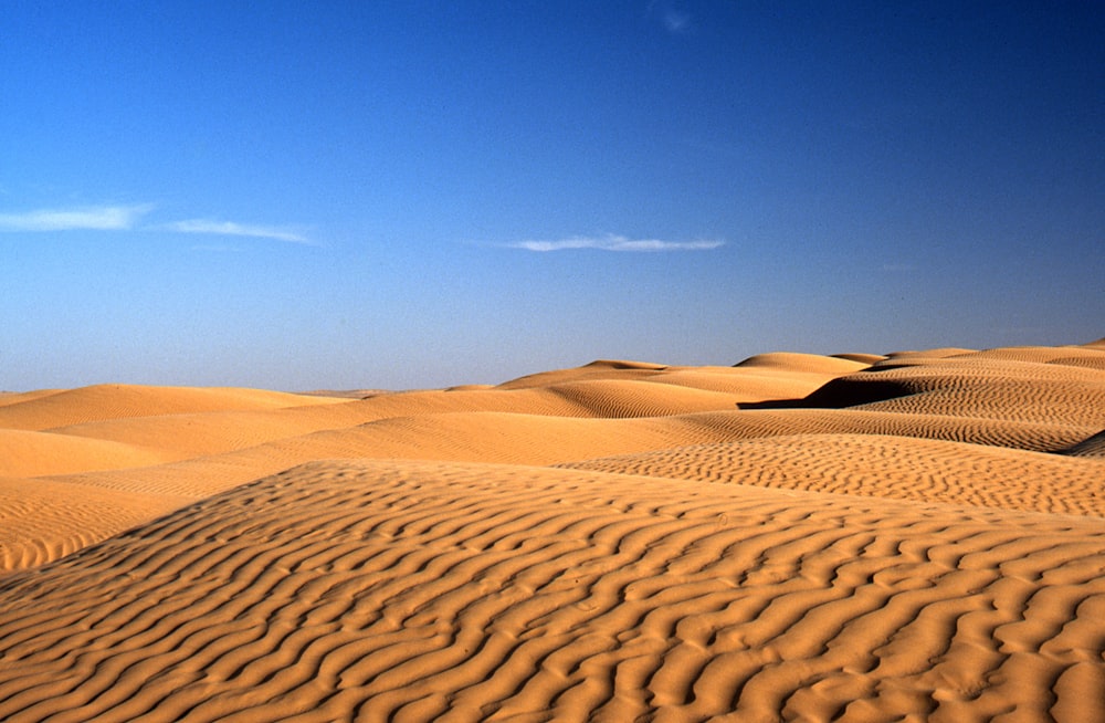 dessert under blue sky