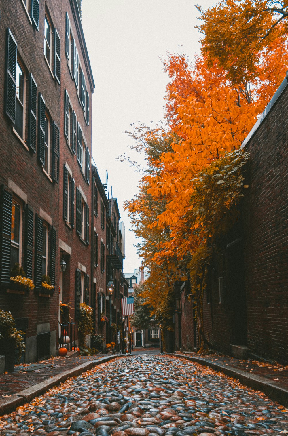 a cobblestone street lined with brick buildings