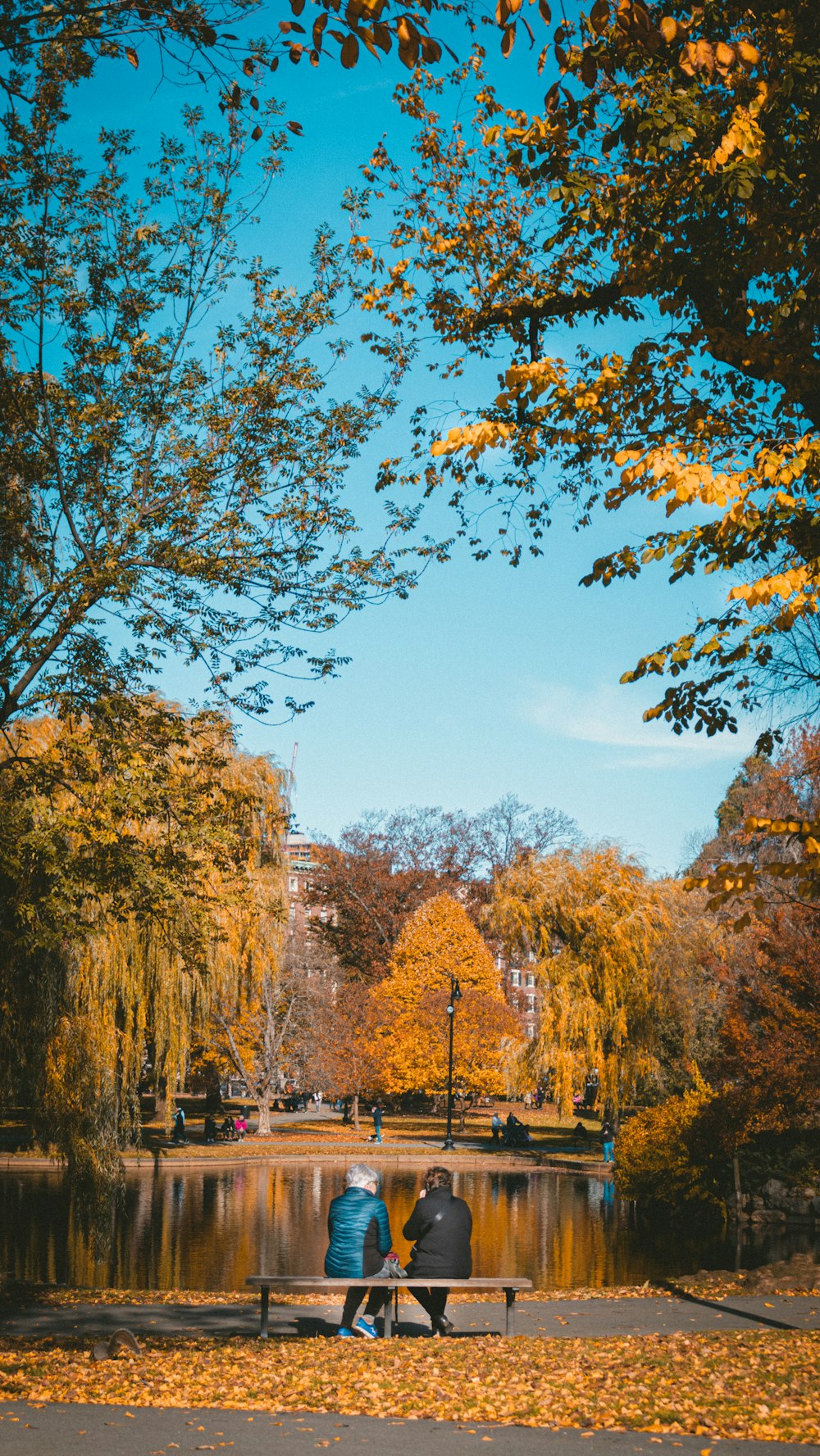 people sitting on bench