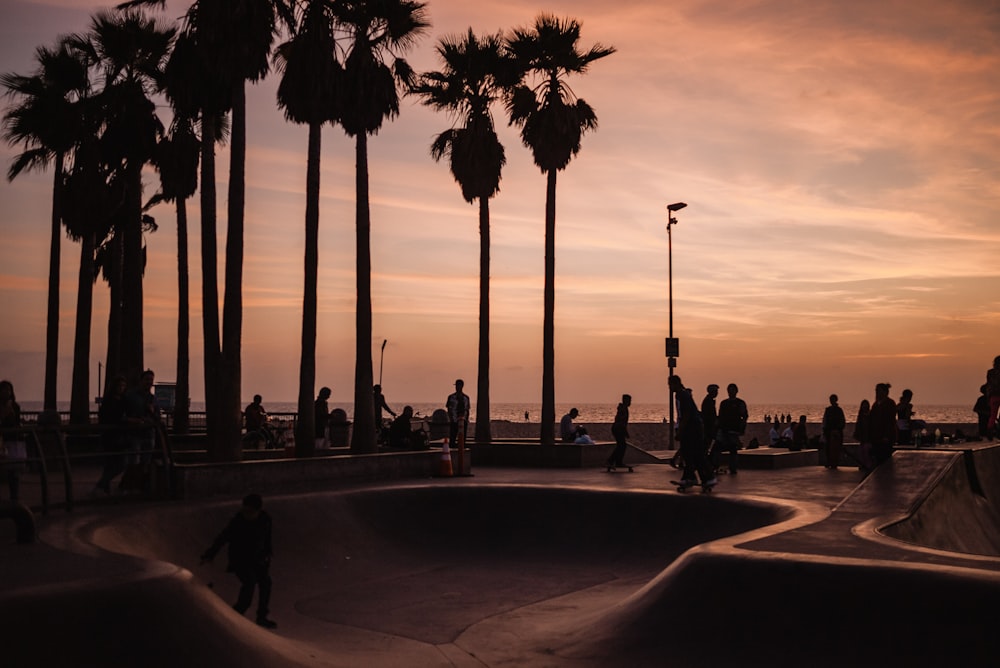 silhouette od skate park scenery