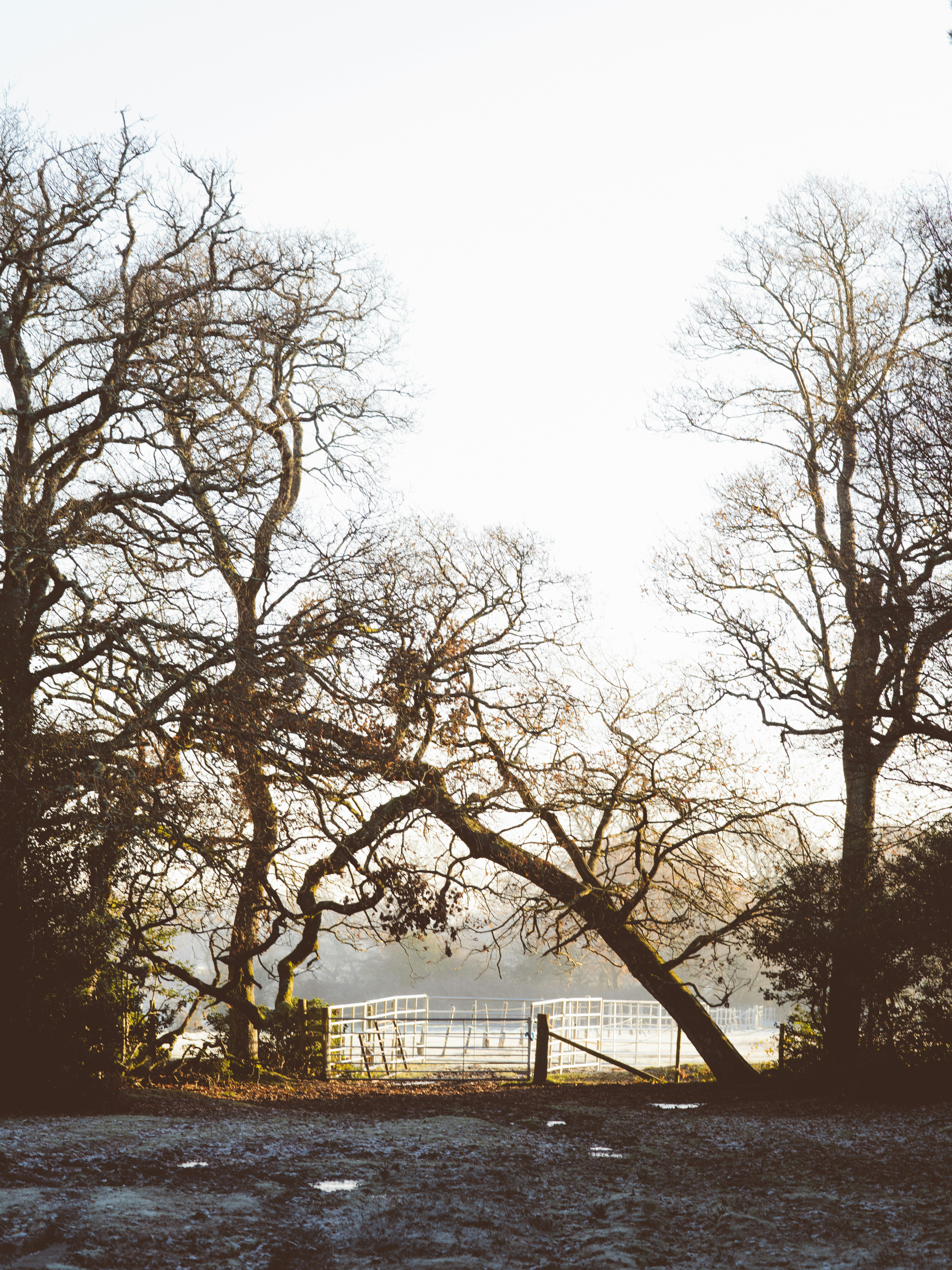 Photo by anniespratt