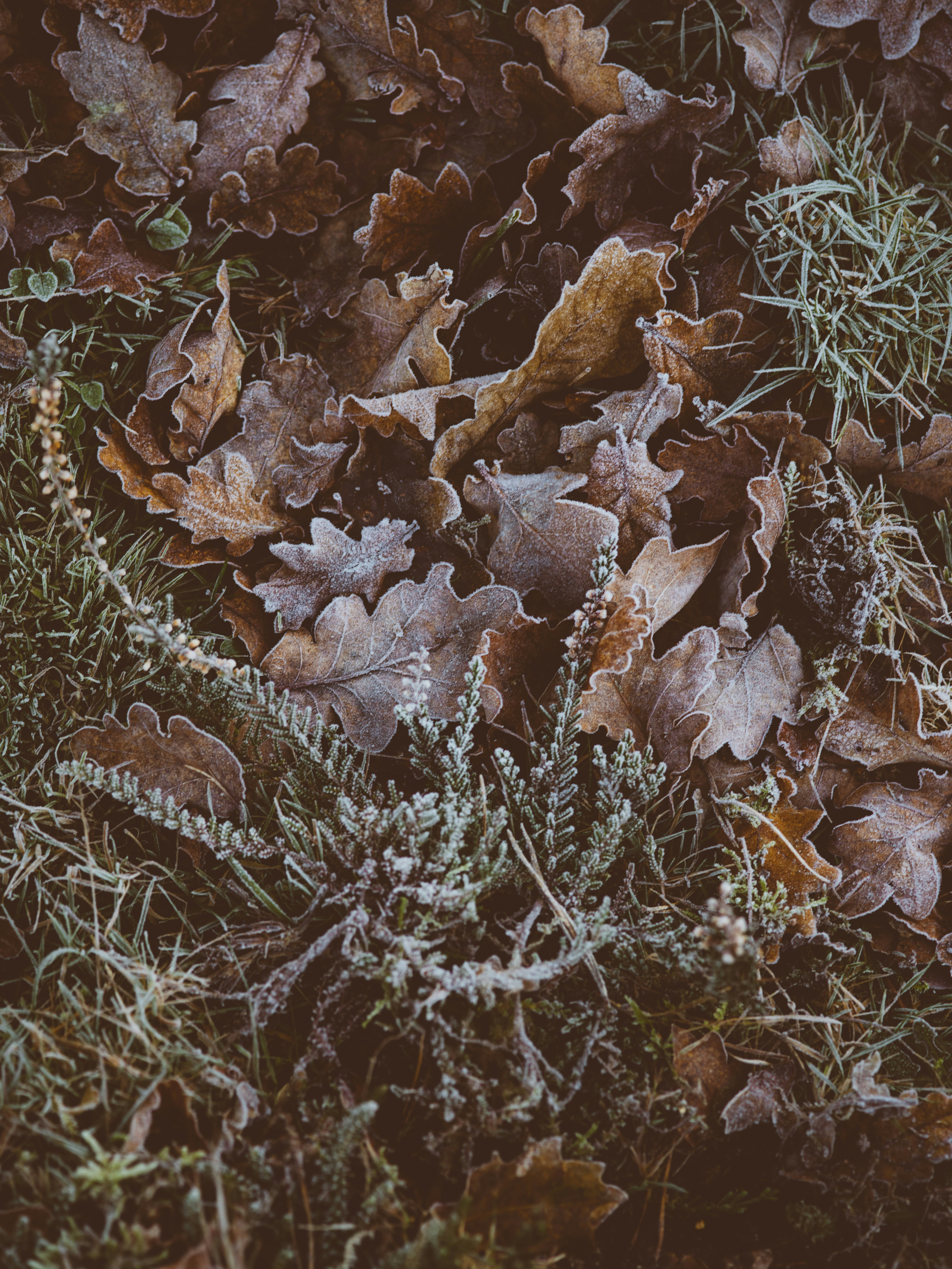 Photo by anniespratt