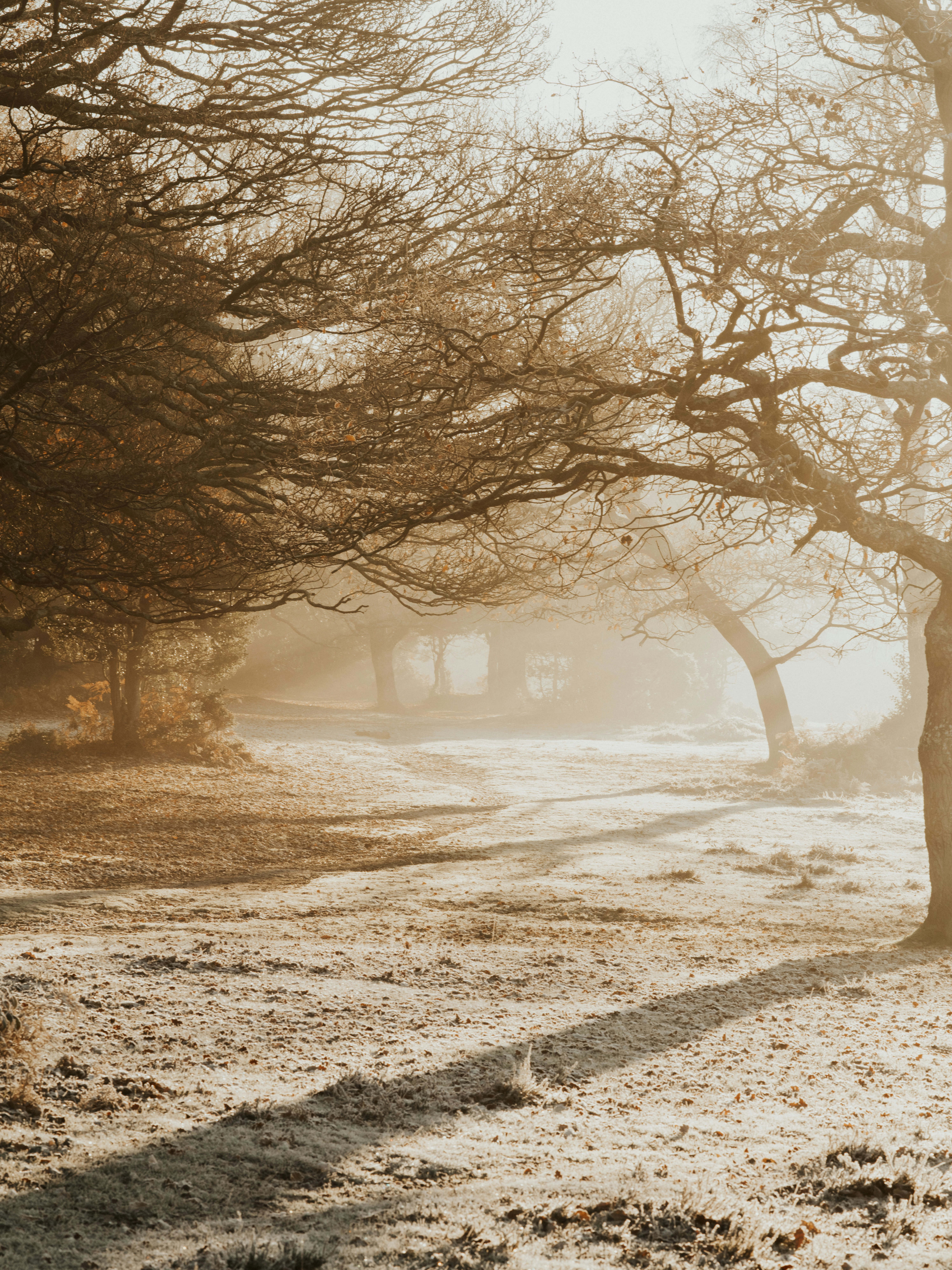 Photo by anniespratt