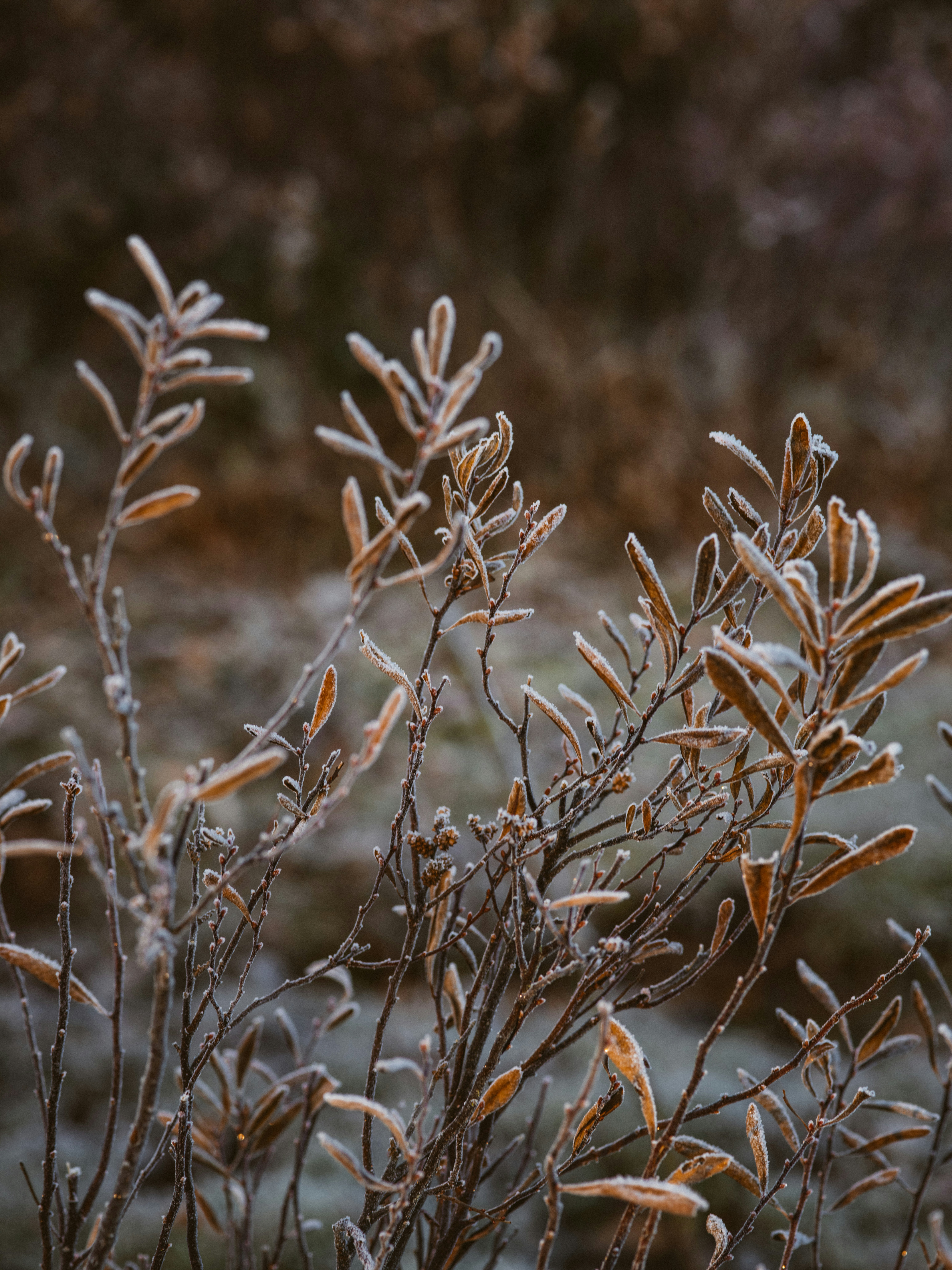 Photo by anniespratt