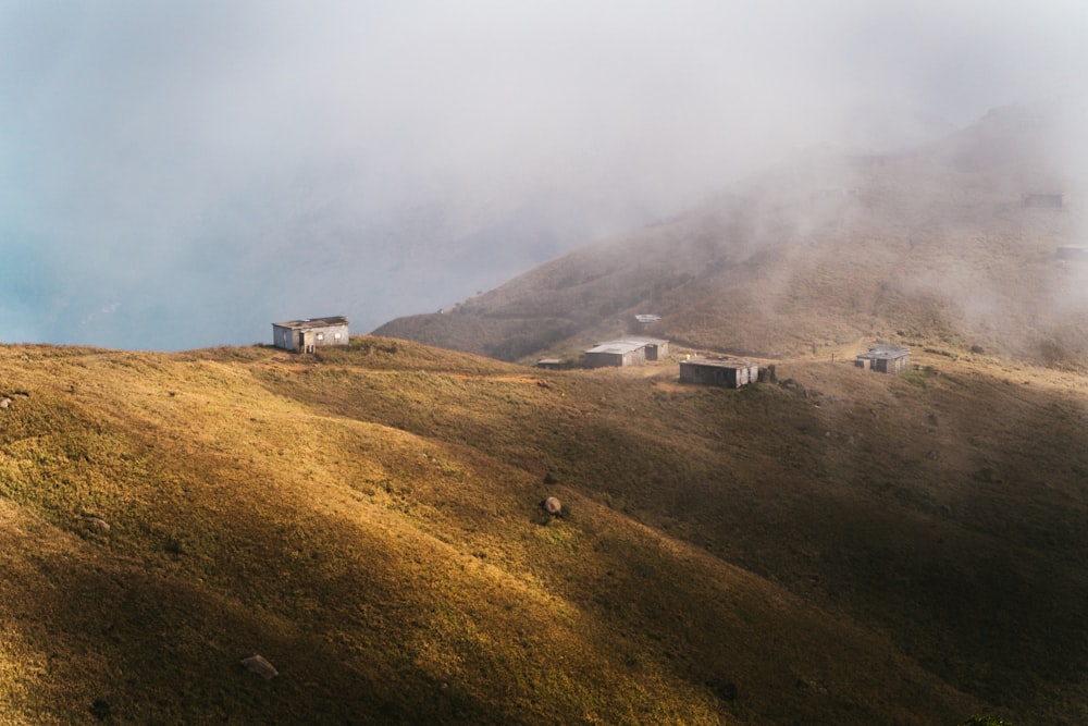 green grass foggy mountain slope