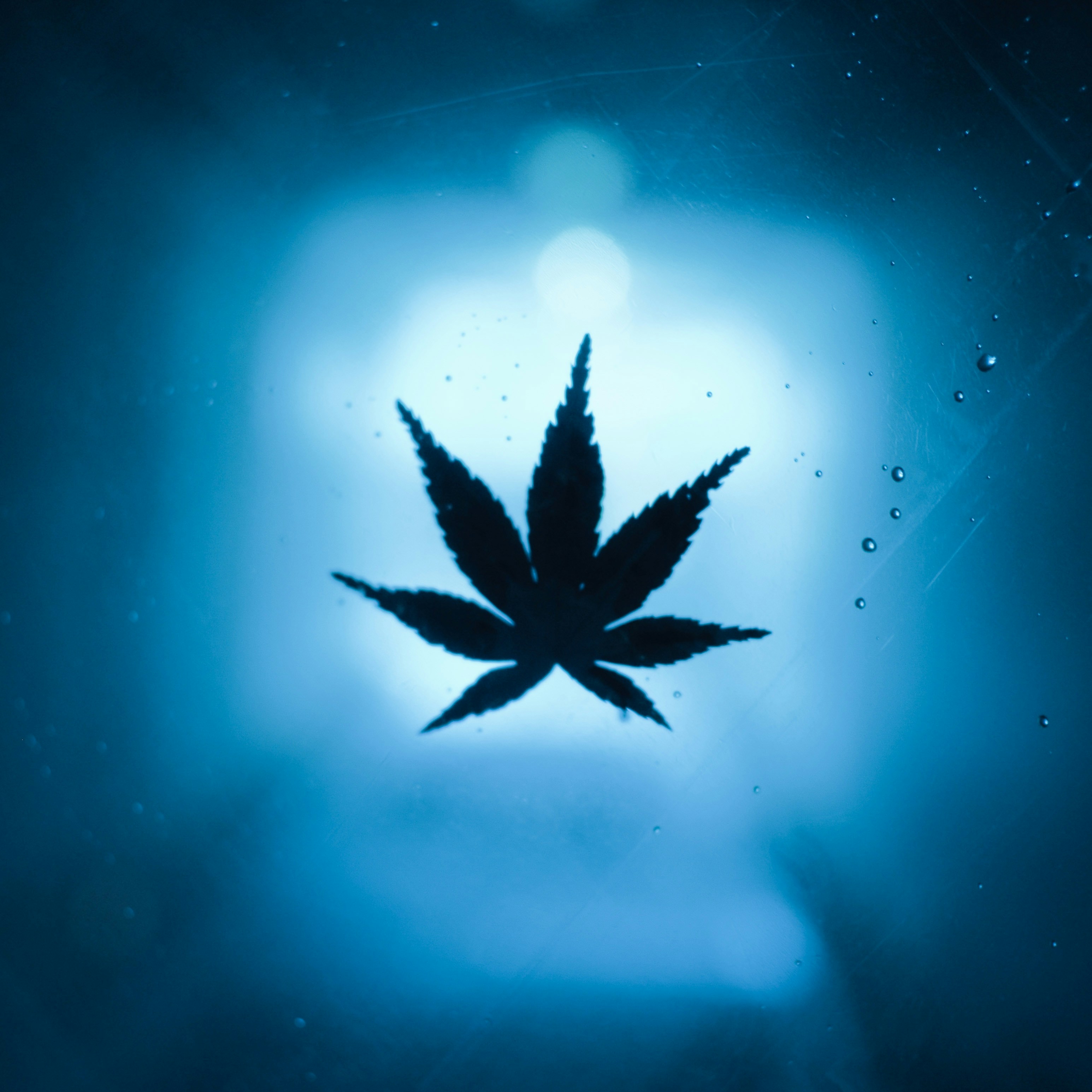 Cannabis and Chronic Pain Management: Exploring Nature's Relief