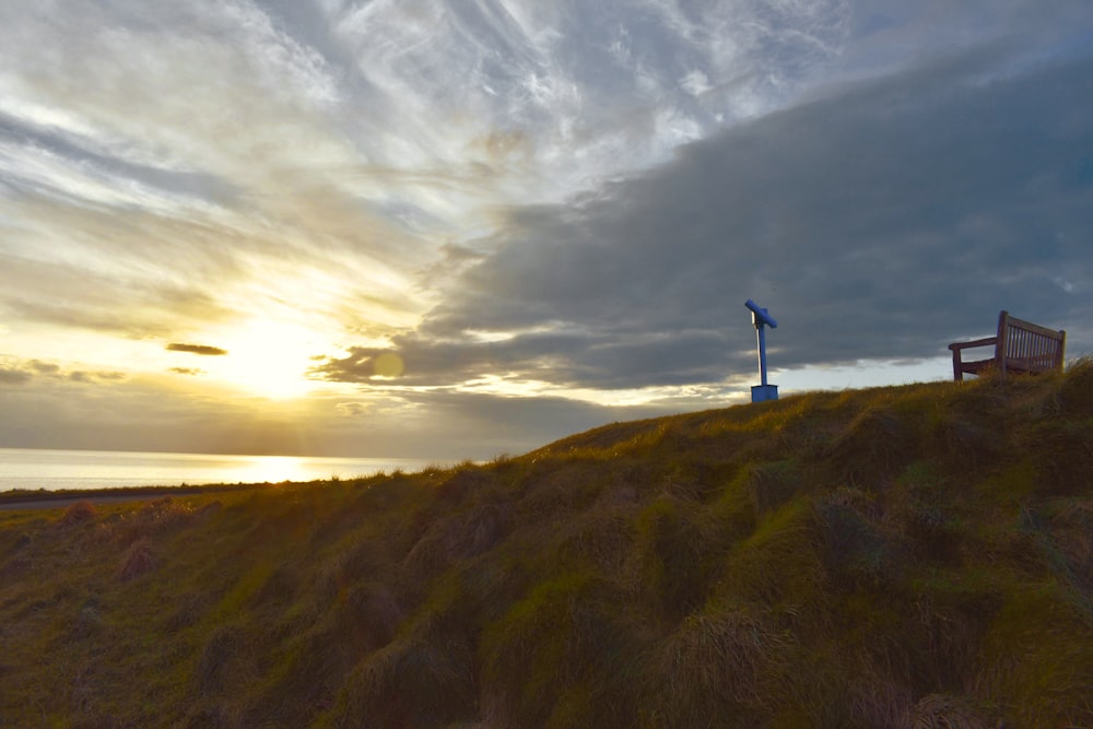 green grass field sunset scenery