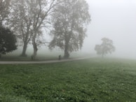 An early morning ride along a misty riverside path lined with tall trees.