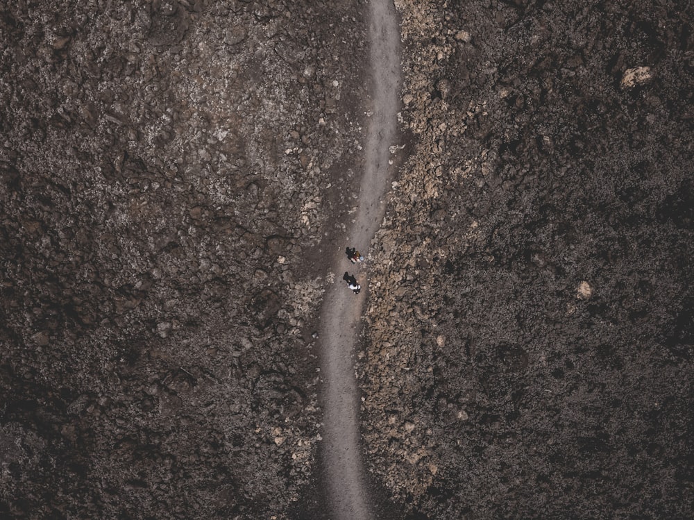 bird's eye photography of people walking on dirty road during dyatime
