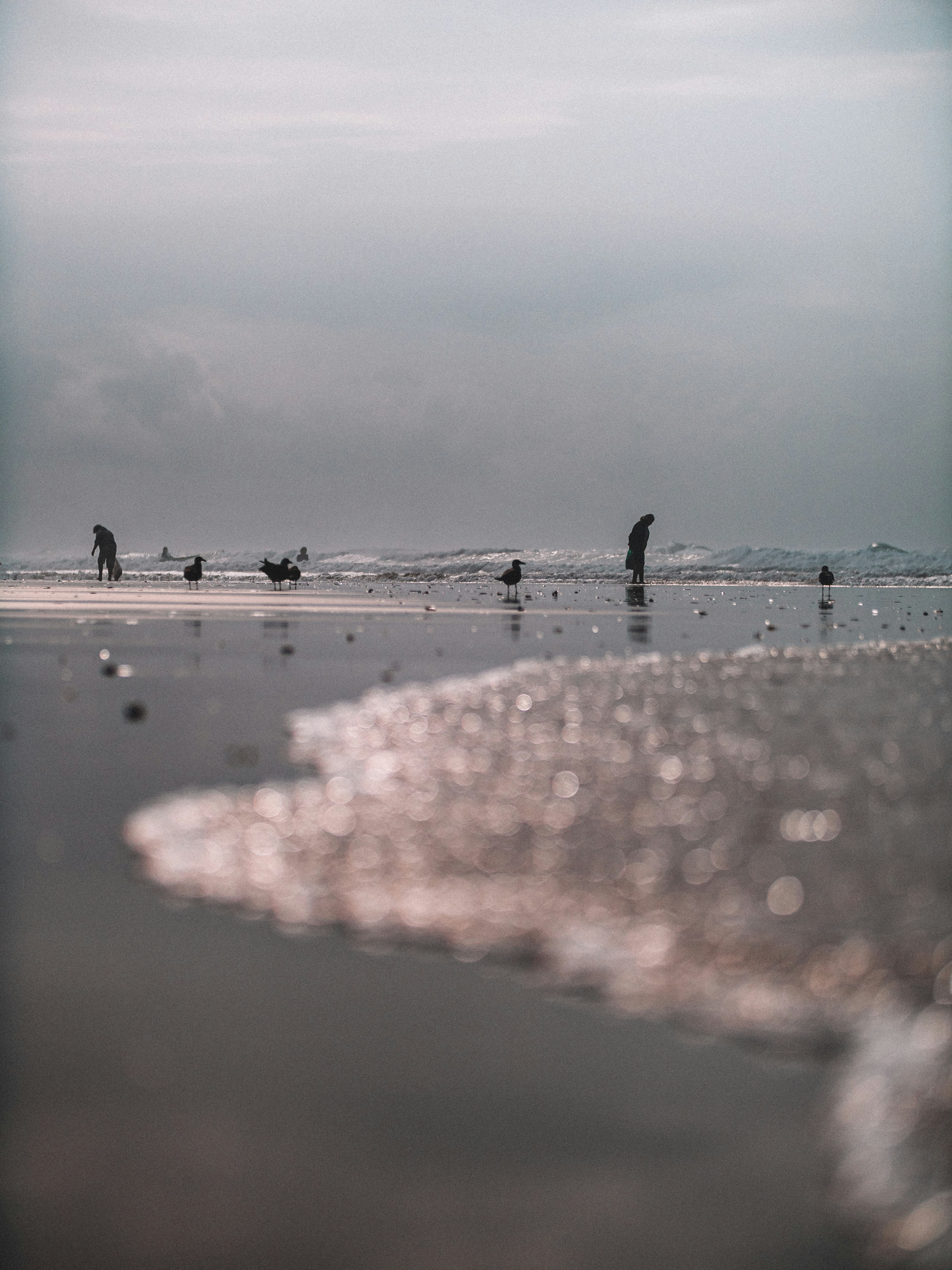 Photo by maxostwalt