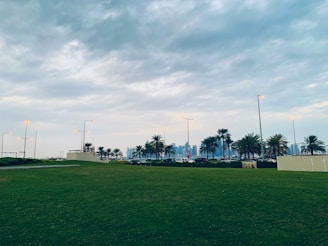 A green lawn stretches out under a cloudy sky, with palm trees lining the horizon. Tall city buildings can be seen in the distance. Streetlights are positioned throughout the scene, some of which are lit, adding an urban touch to the natural setting.
